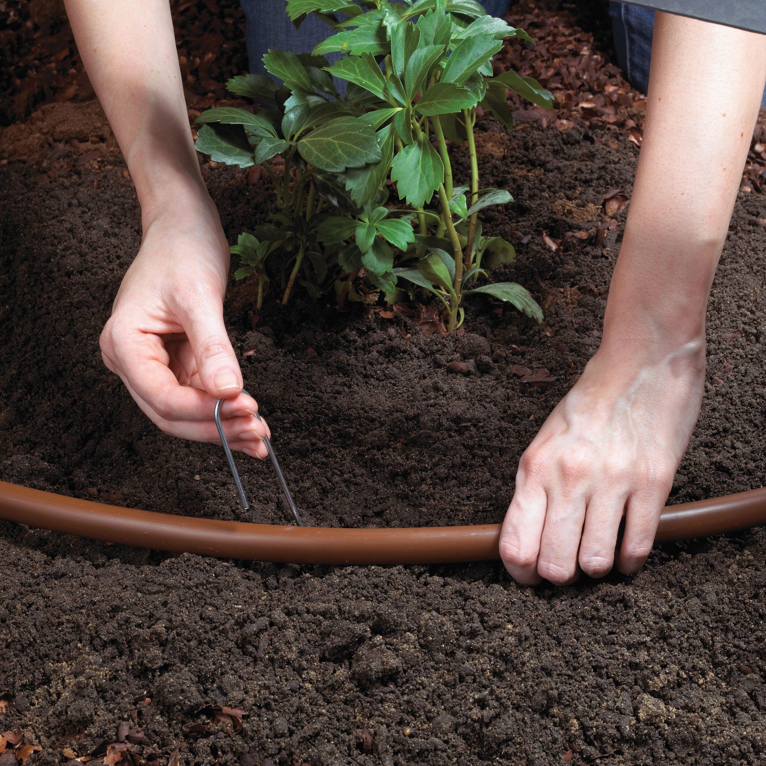 Raindrip Drip irrigation tree and shrub kit