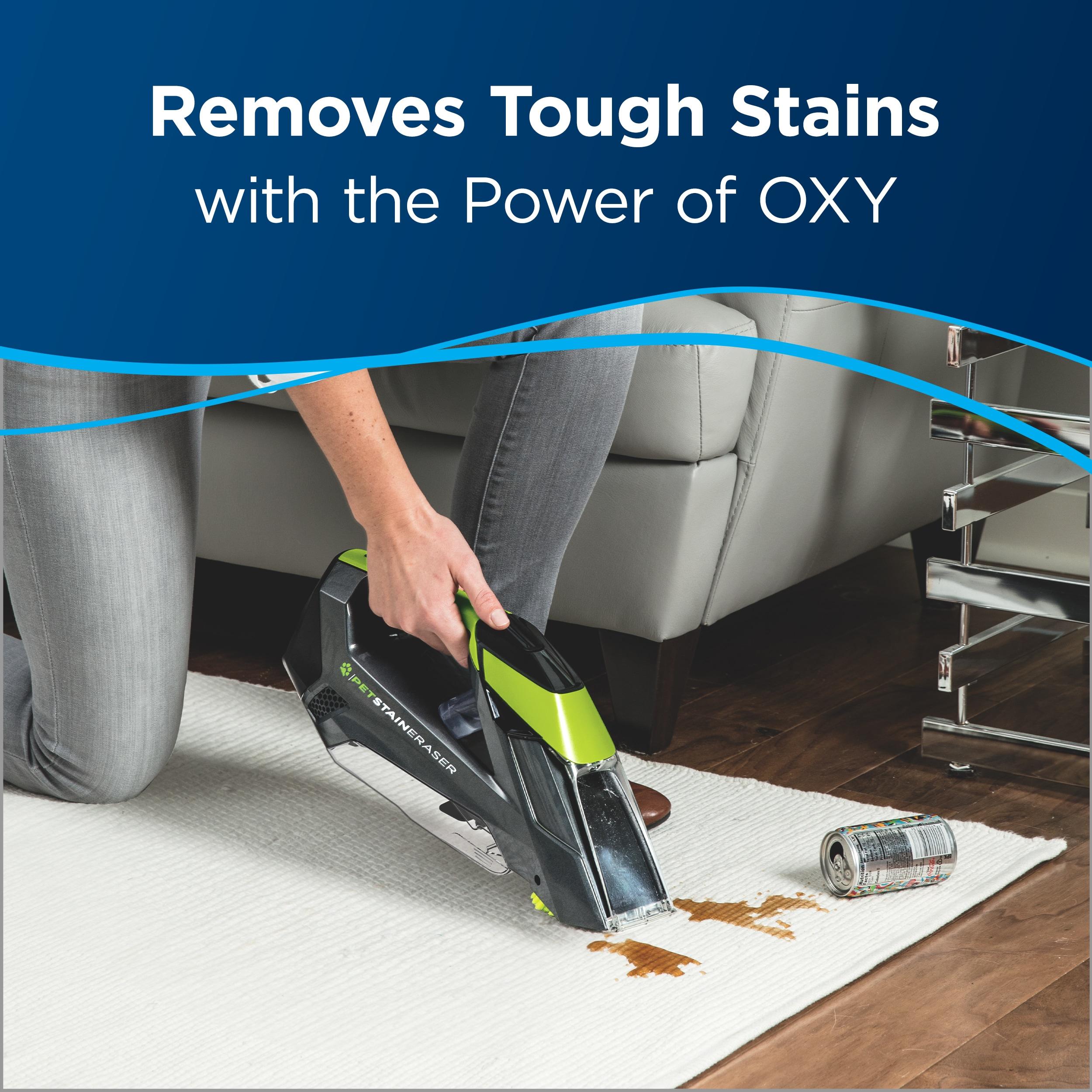 Bissell 2038 Professional Spot & Stain + Oxy Carpet Cleaner 32 Ounce