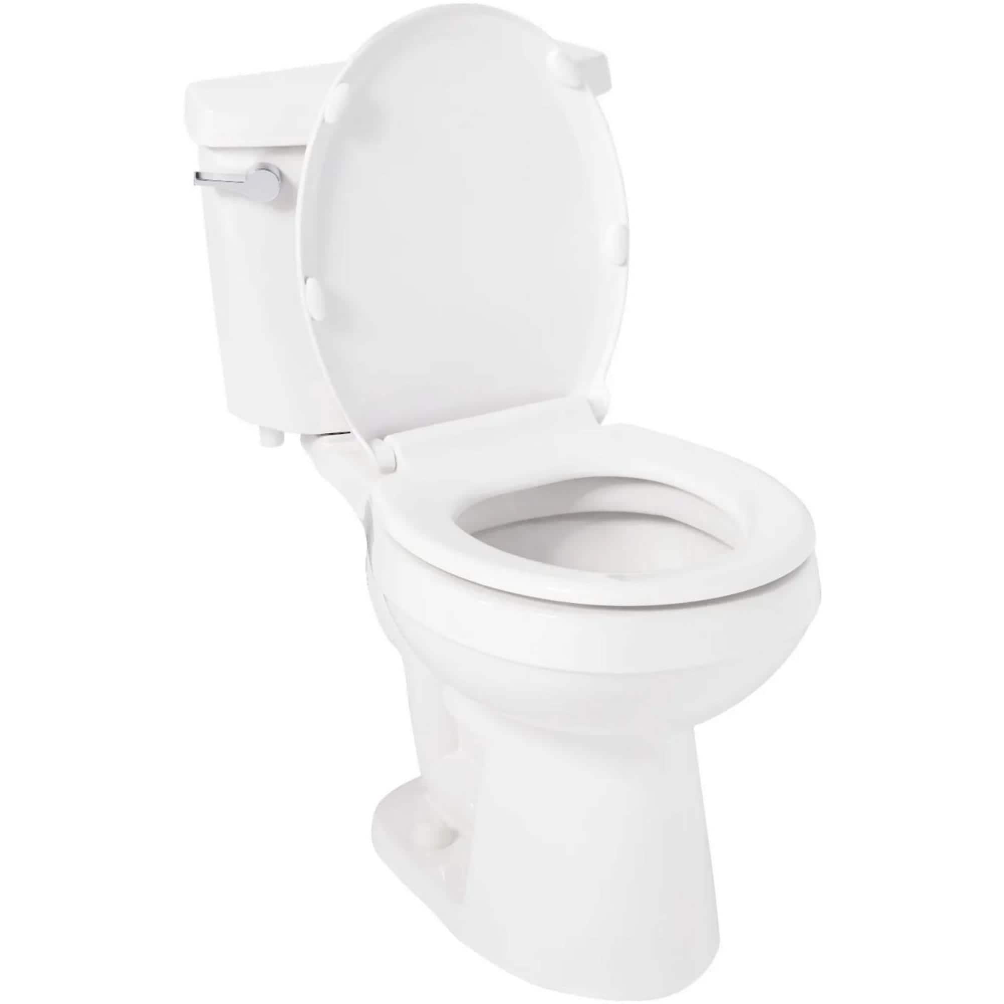 Bradenton Two-Piece Round Toilet With 10" Rough-In - 16" Bowl Height