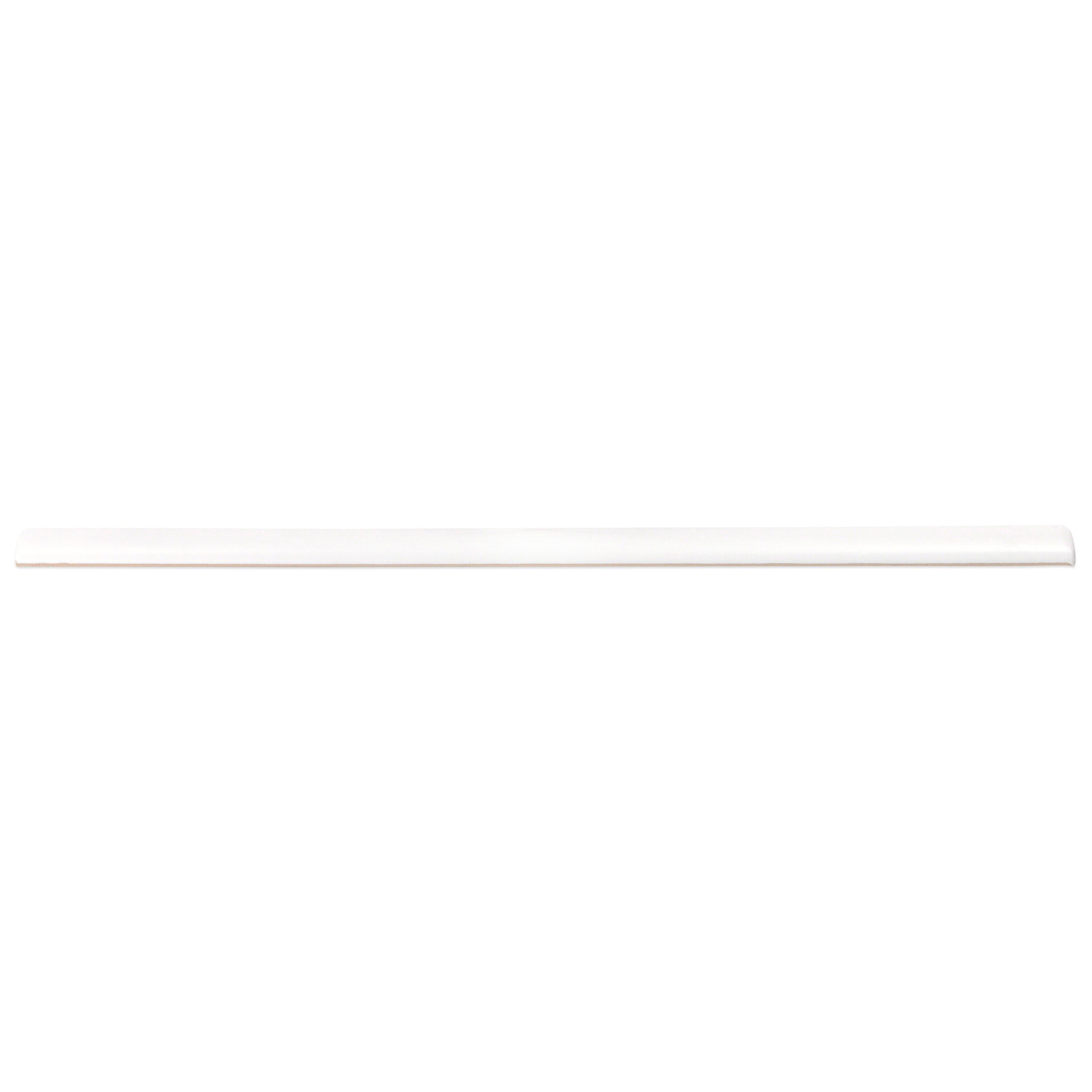 Bond Tile 0.6'' L x 12'' W Ceramic Bullnose Tile Trim