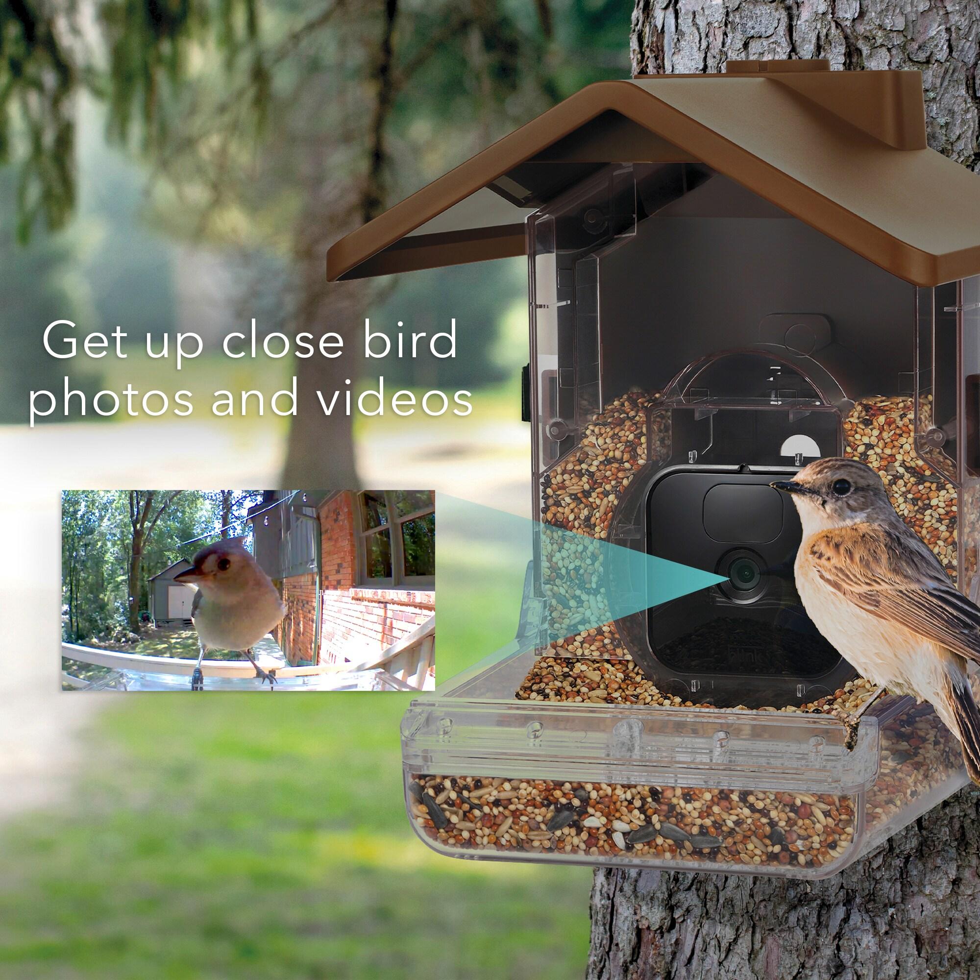 Wasserstein Bird Feeder Camera Case Compatible with Blink, Wyze, and Ring Cam - Bird Feeder for Bird Watching with Your Security Cam - (Camera NOT Included)