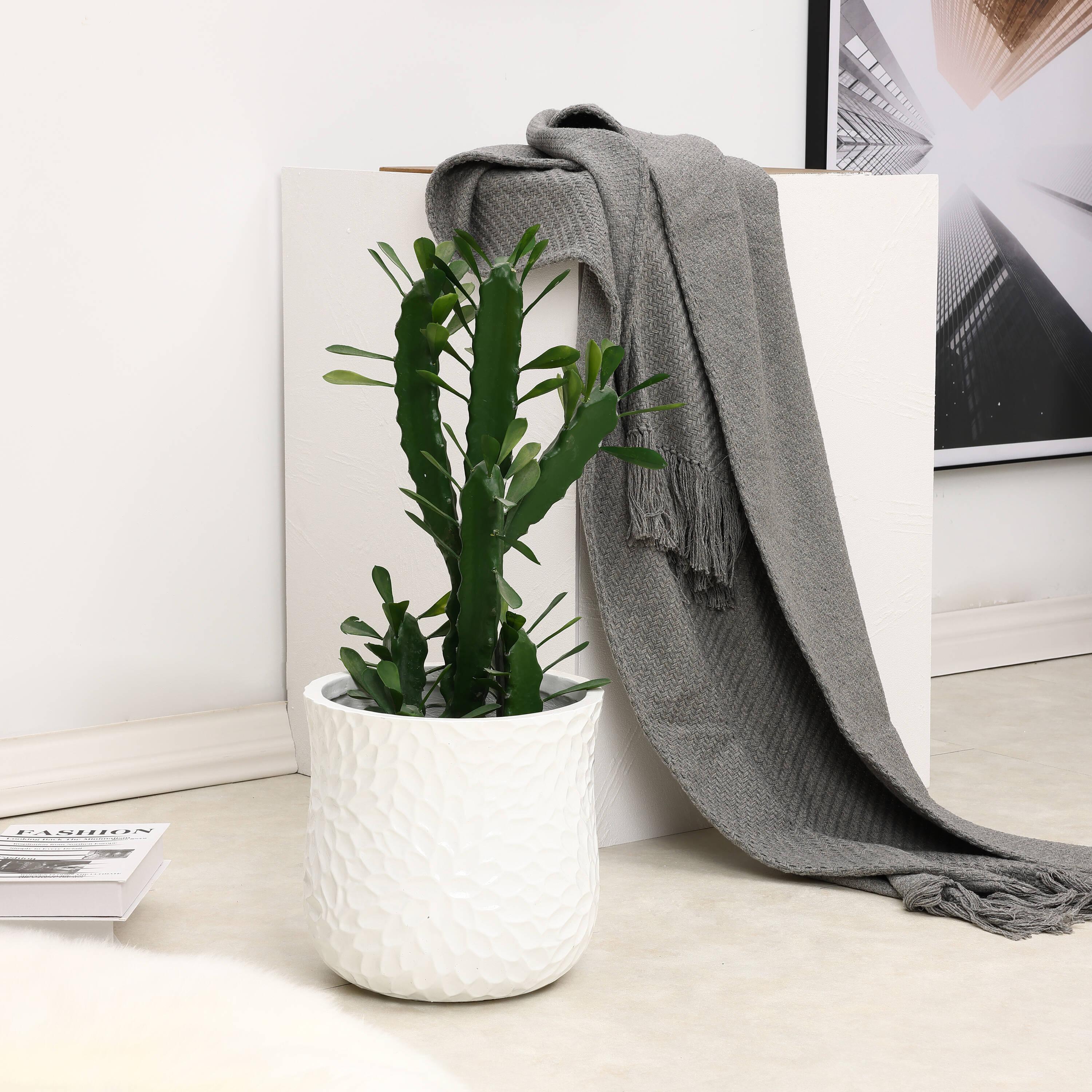 LuxenHome White MgO Floral Round Planter