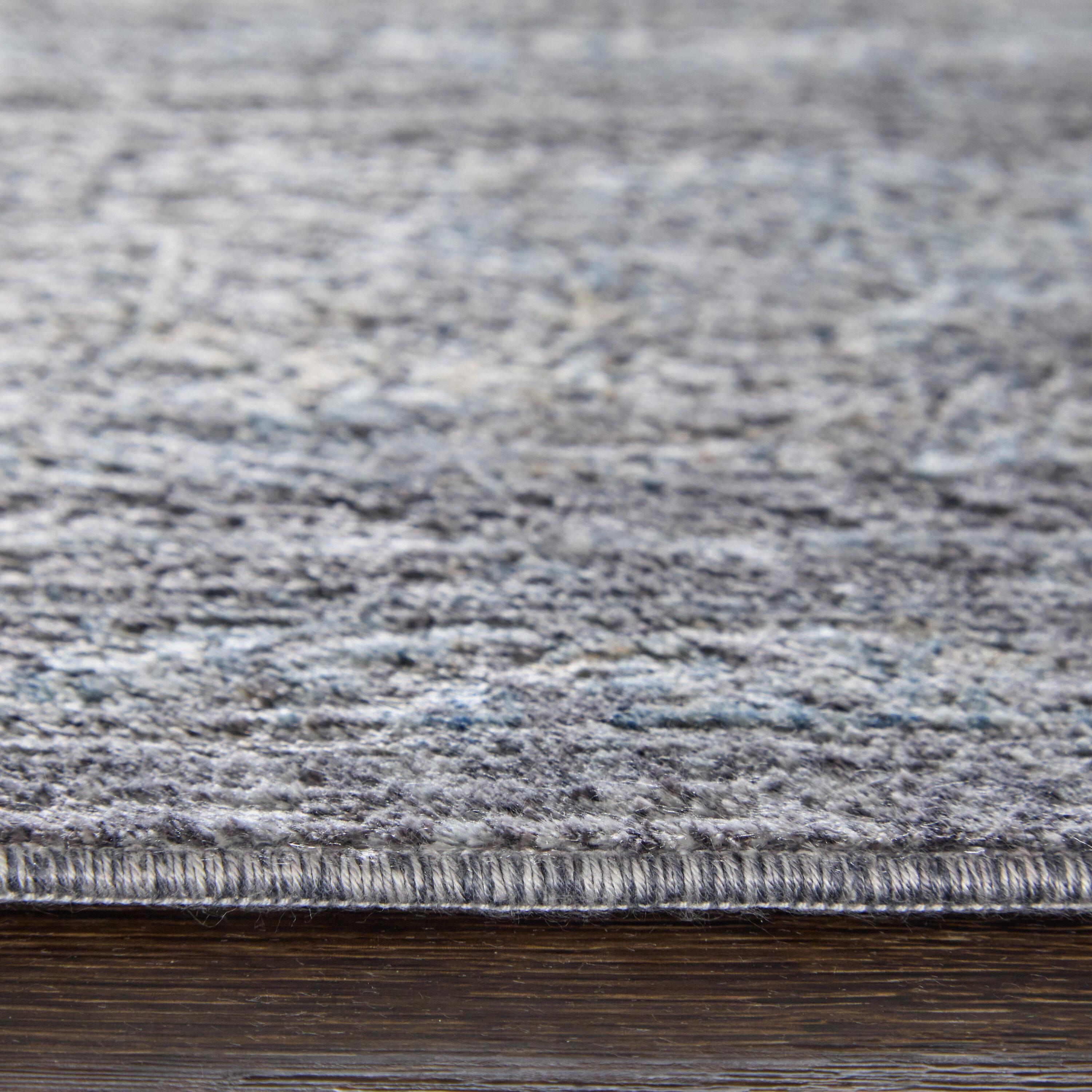 Sarrant Transitional Medallion Gray/Silver/Ivory Area Rug