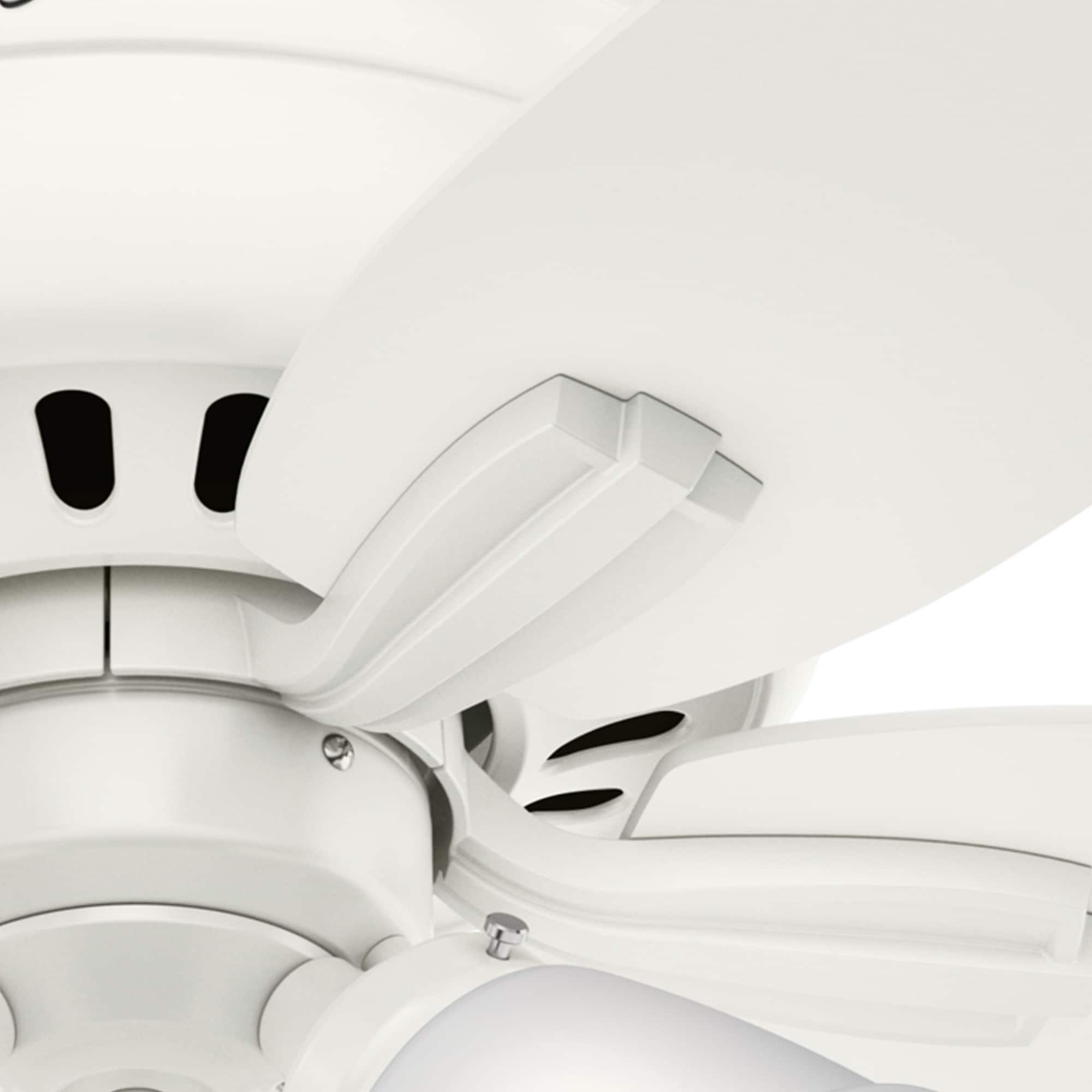 Hunter Fan Newsome 42" 5 - Blade Traditional Indoor Flush Mount Ceiling Fan with Lights and Pull Chains