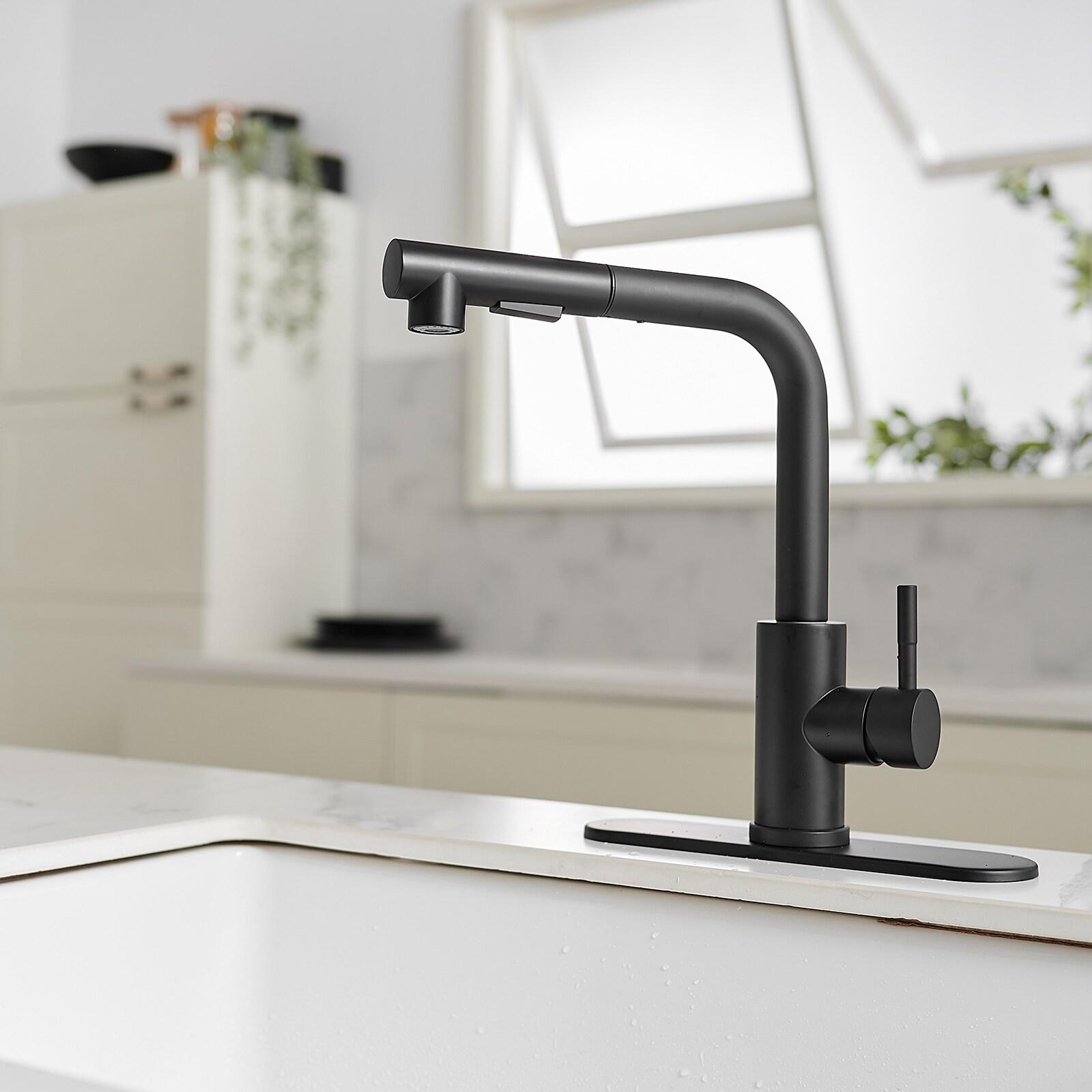 VIBRANTBATH Pull Out Kitchen Faucet