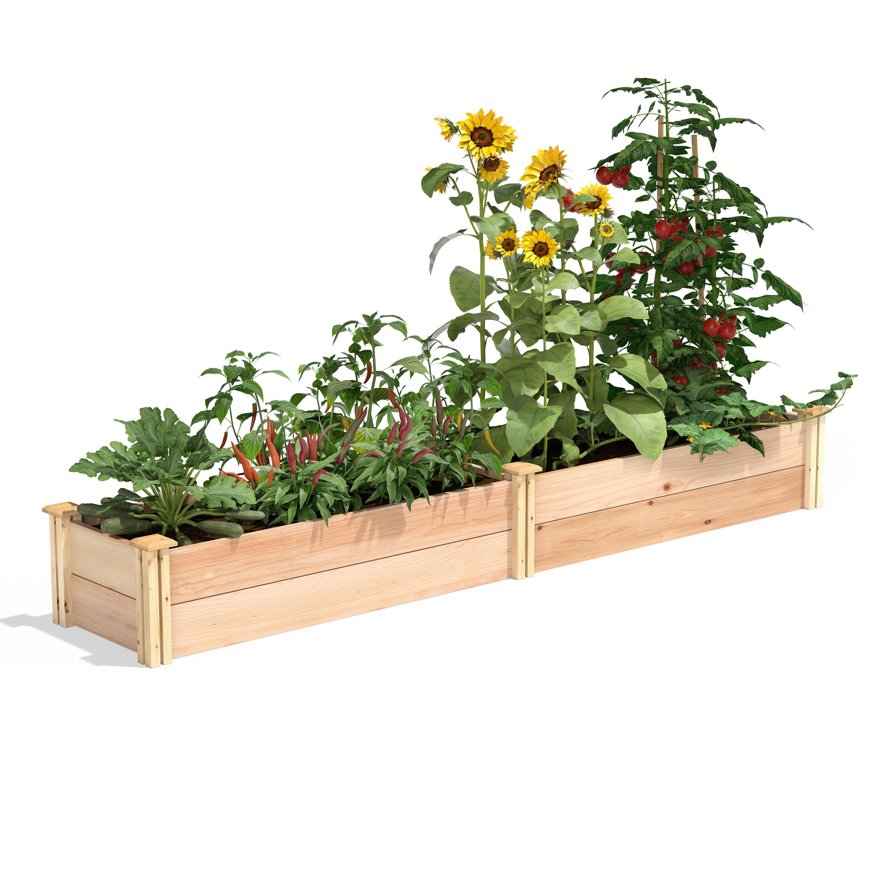 Premium Cedar Extra Large Raised Garden Bed with Natural Finish