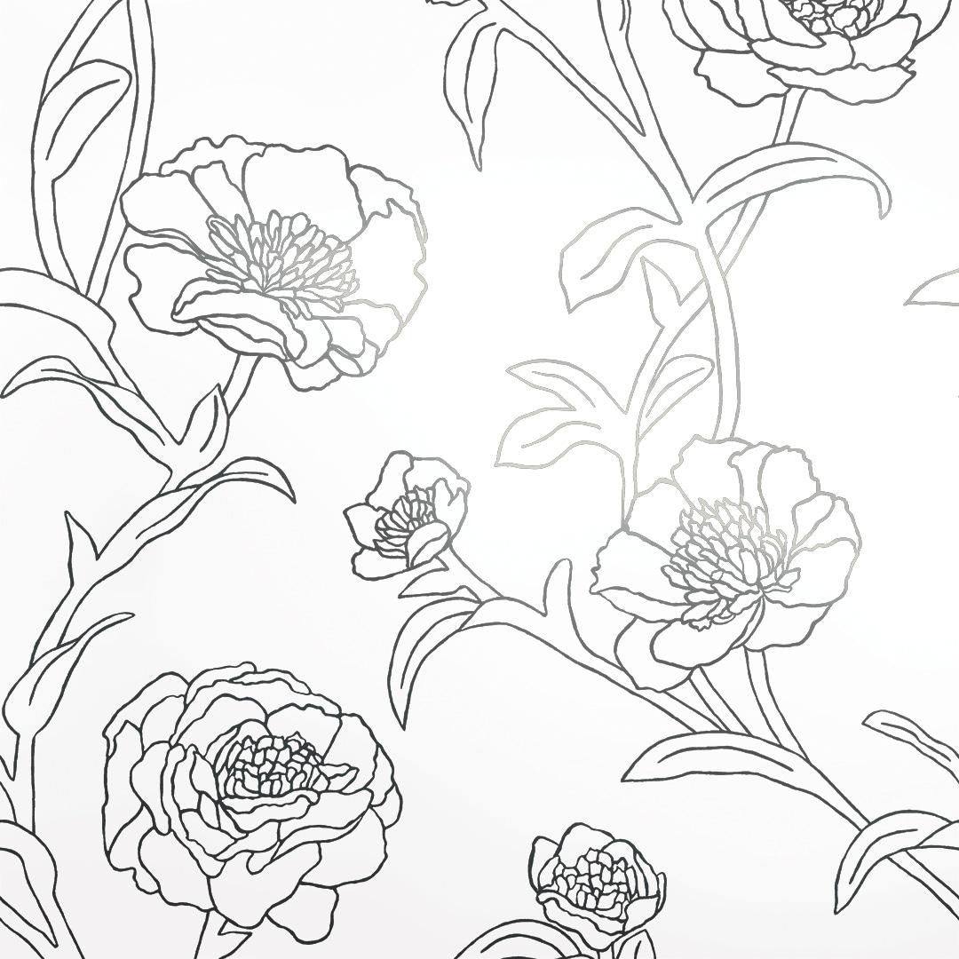 Tempaper & Co. Peonies Removable Peel and Stick Wallpaper, Black and White Floral, 56 sq. ft.: Vinyl Self-Adhesive Botanical Decor