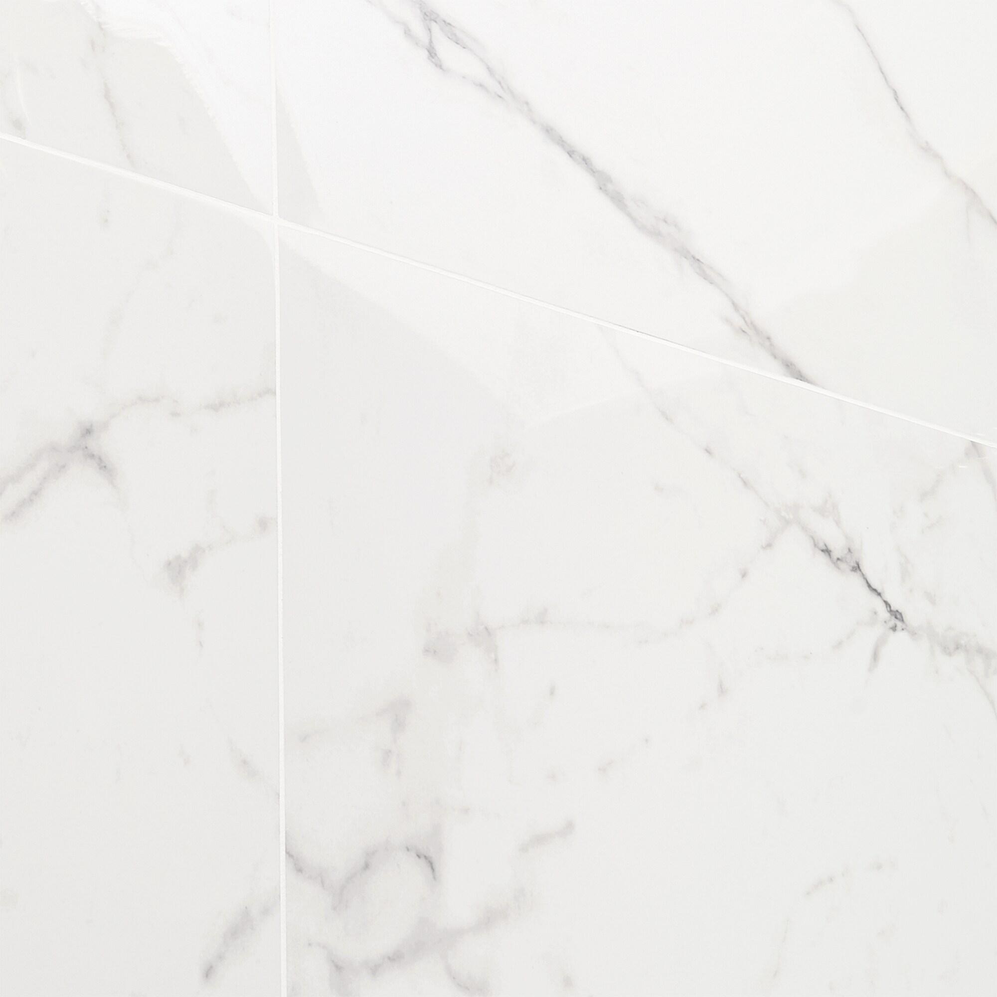 24" x 24" Polished Marble Look Porcelain Floor and Wall Tile (15.5 Sq. Ft. / Case)