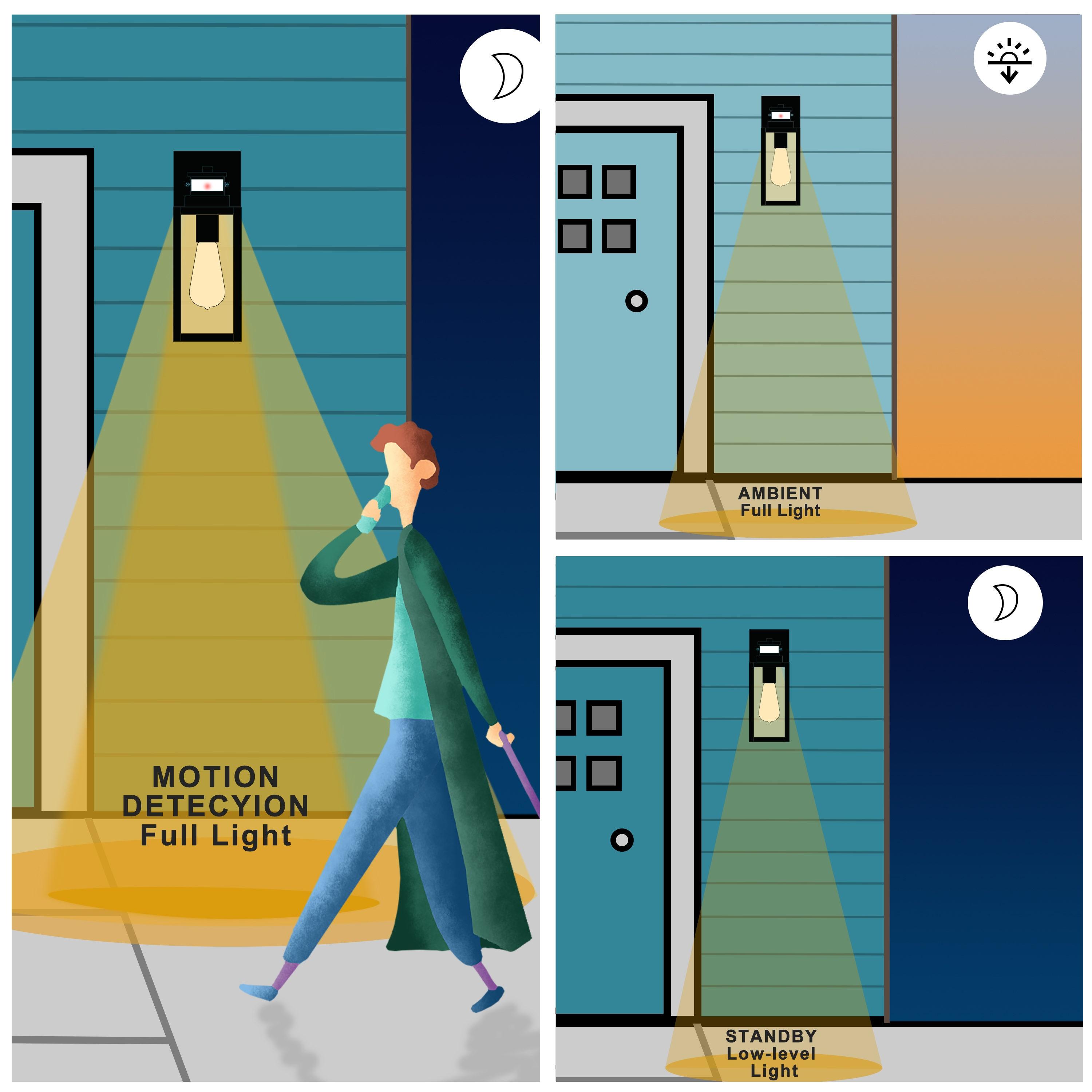 C Cattleya 2-Pack Matte Black Motion Sensor and Dusk to Dawn Outdoor Wall Lantern