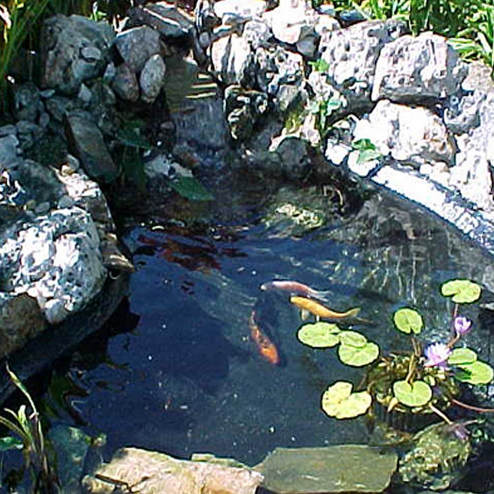 Fountain & Water Feature Restoration Paint Pond Shield Epoxy Pond Coating by Pond Armor Clear