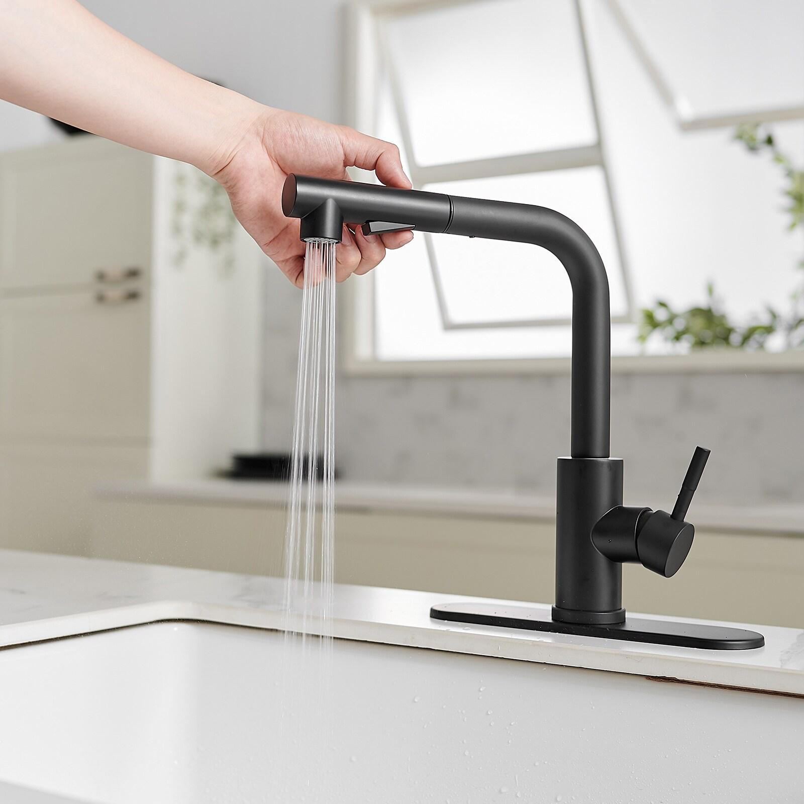 VIBRANTBATH Pull Out Kitchen Faucet