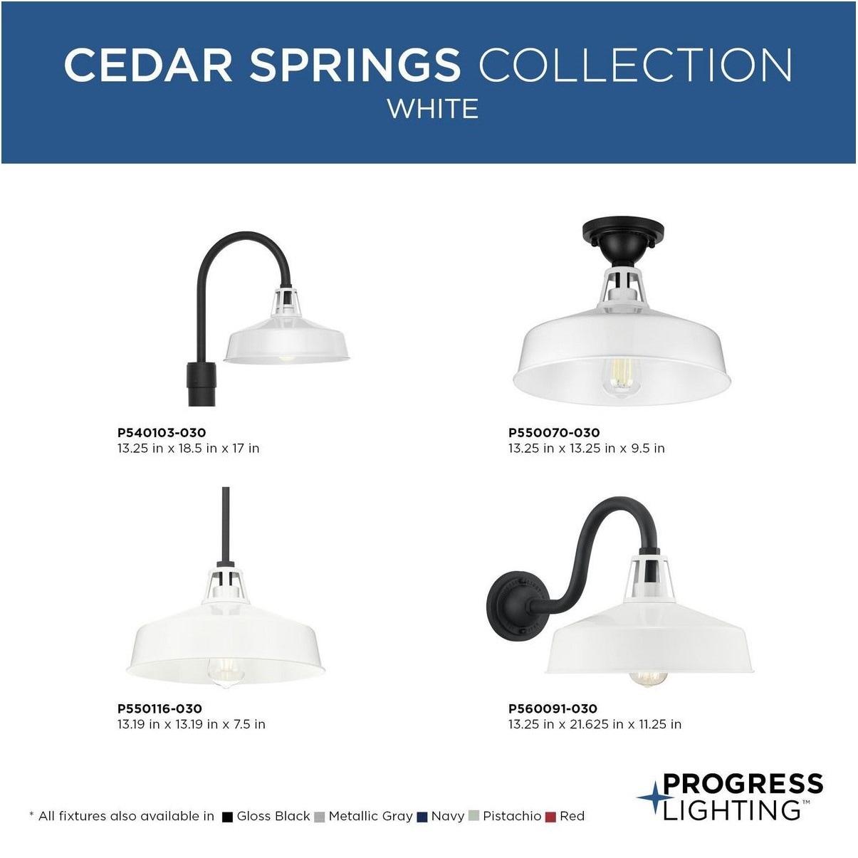 Progress Lighting Cedar Springs 1-Light Ceiling Light, White, Aluminum, Industrial-Style Shade