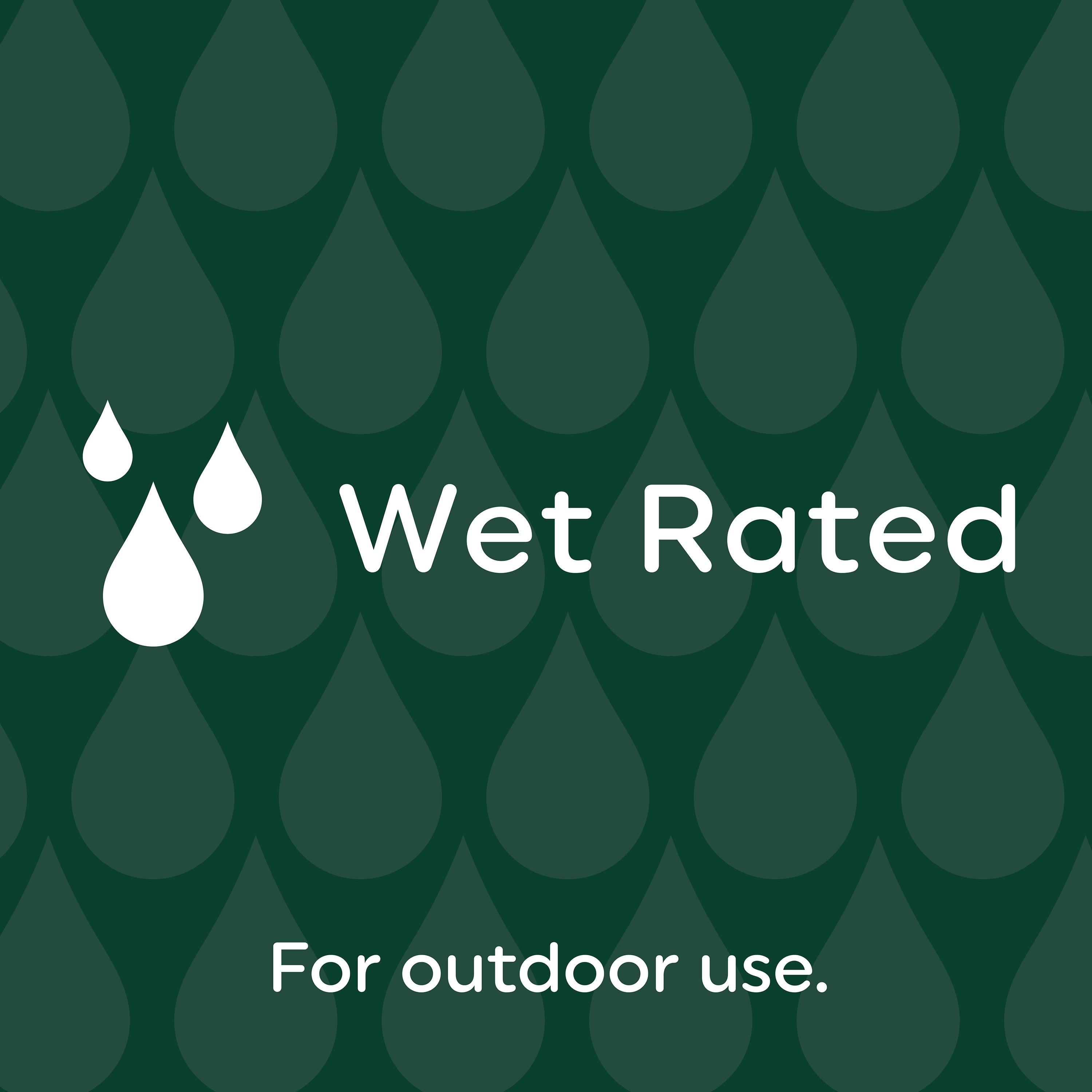 Energetic LED Flood PAR38 Light Bulb, 5000K Daylight, 90W Equivalent, Efficient 11W, Wet Rated, 900 Lumens, Medium Base, Non-Dimmable, 2 Pack