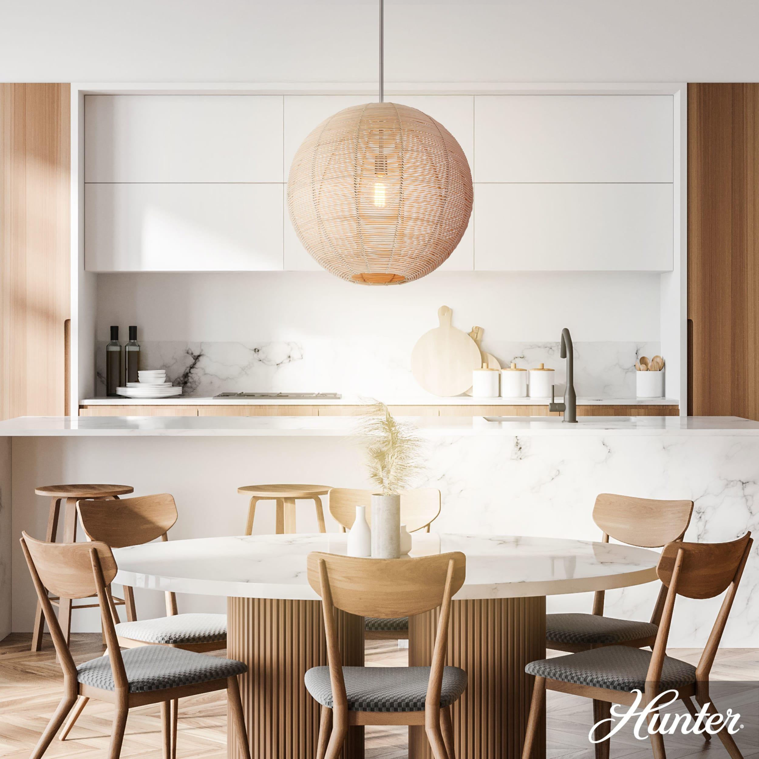 Hunter Fan Hunter Berkeley 1 Light Medium Pendant Ceiling Light Fixture