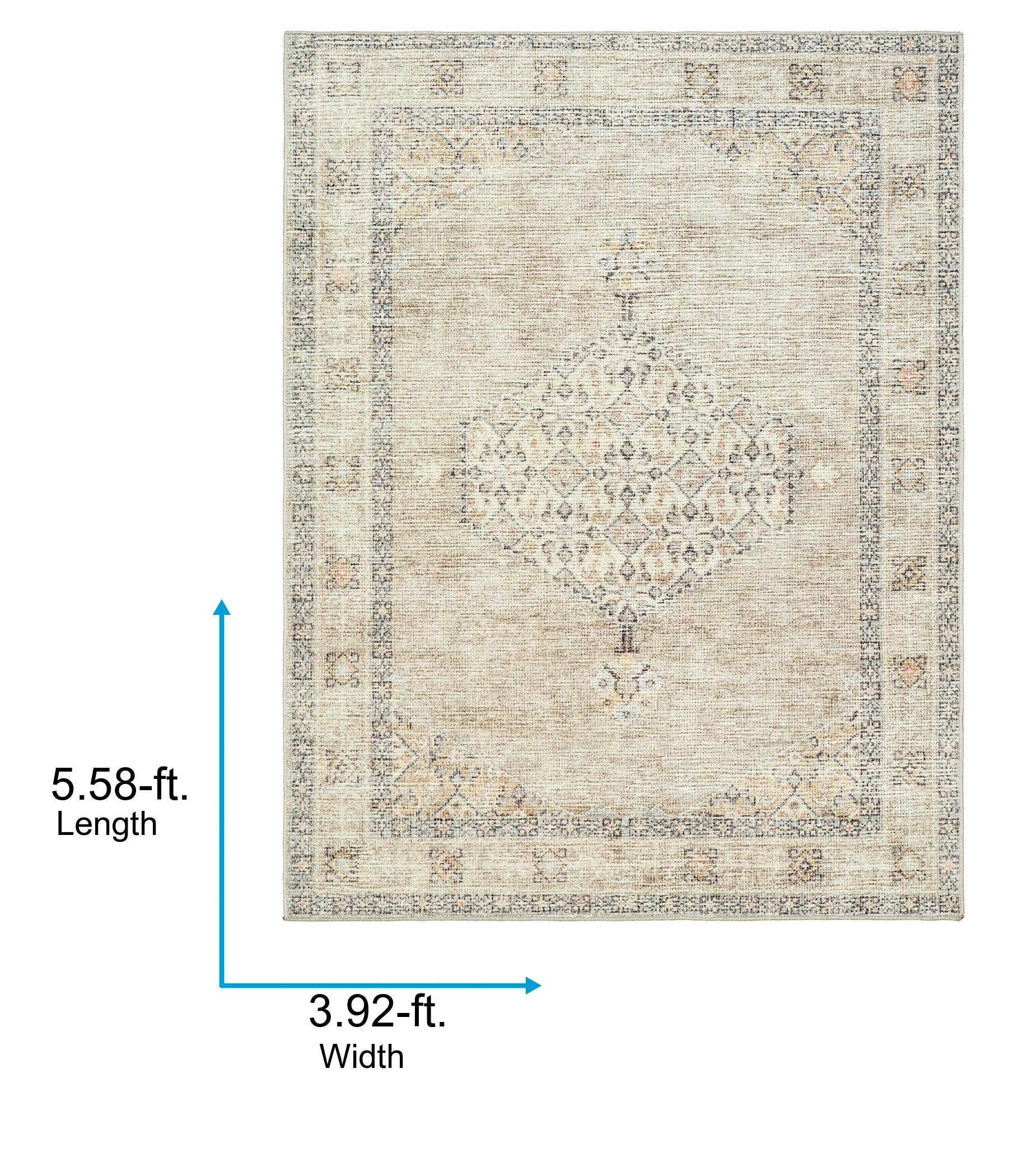 Becki Owens x Livabliss Lila Machine Woven Area Rug