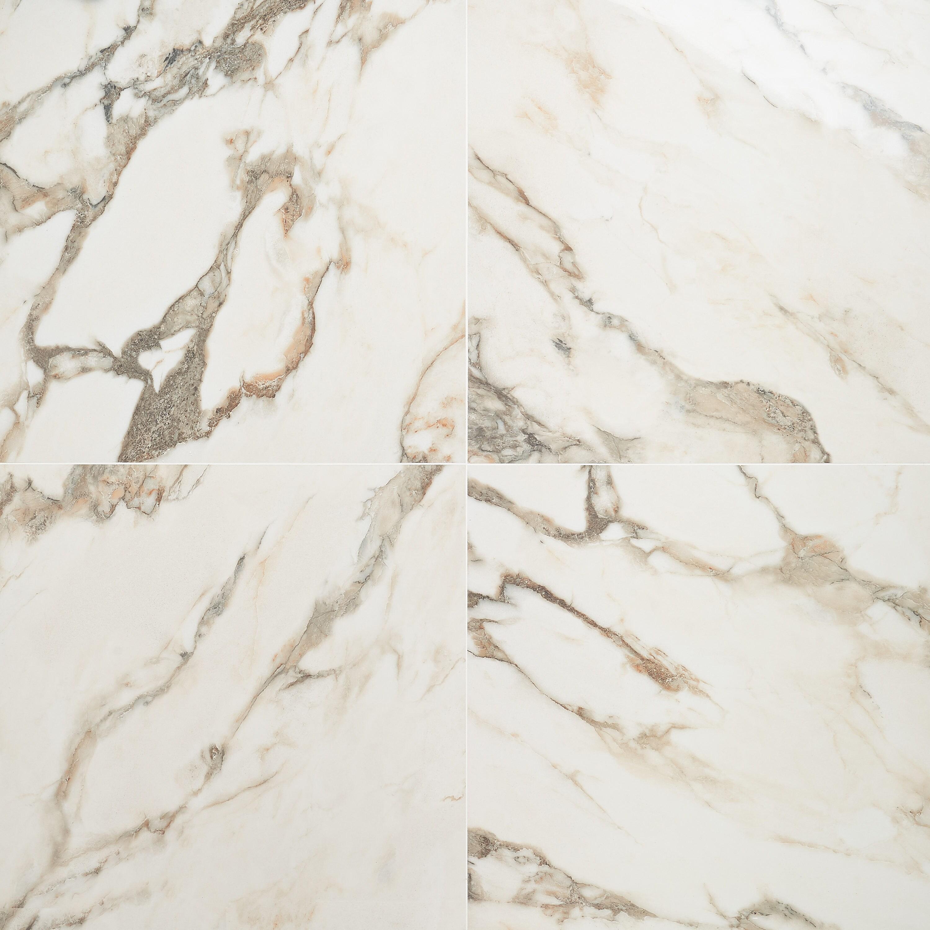 Saroshi 24" x 24" Polished Marble Look Porcelain Floor and Wall Tile (15.5 Sq. Ft. / Case)