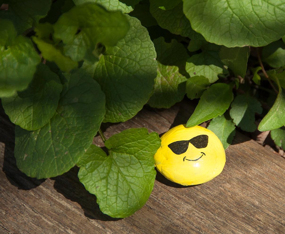 Hide & Seek Rock Painting Kit - Creativity for Kids: Paints, Stickers, Rocks, Brush, Craft Activity for Ages 6+