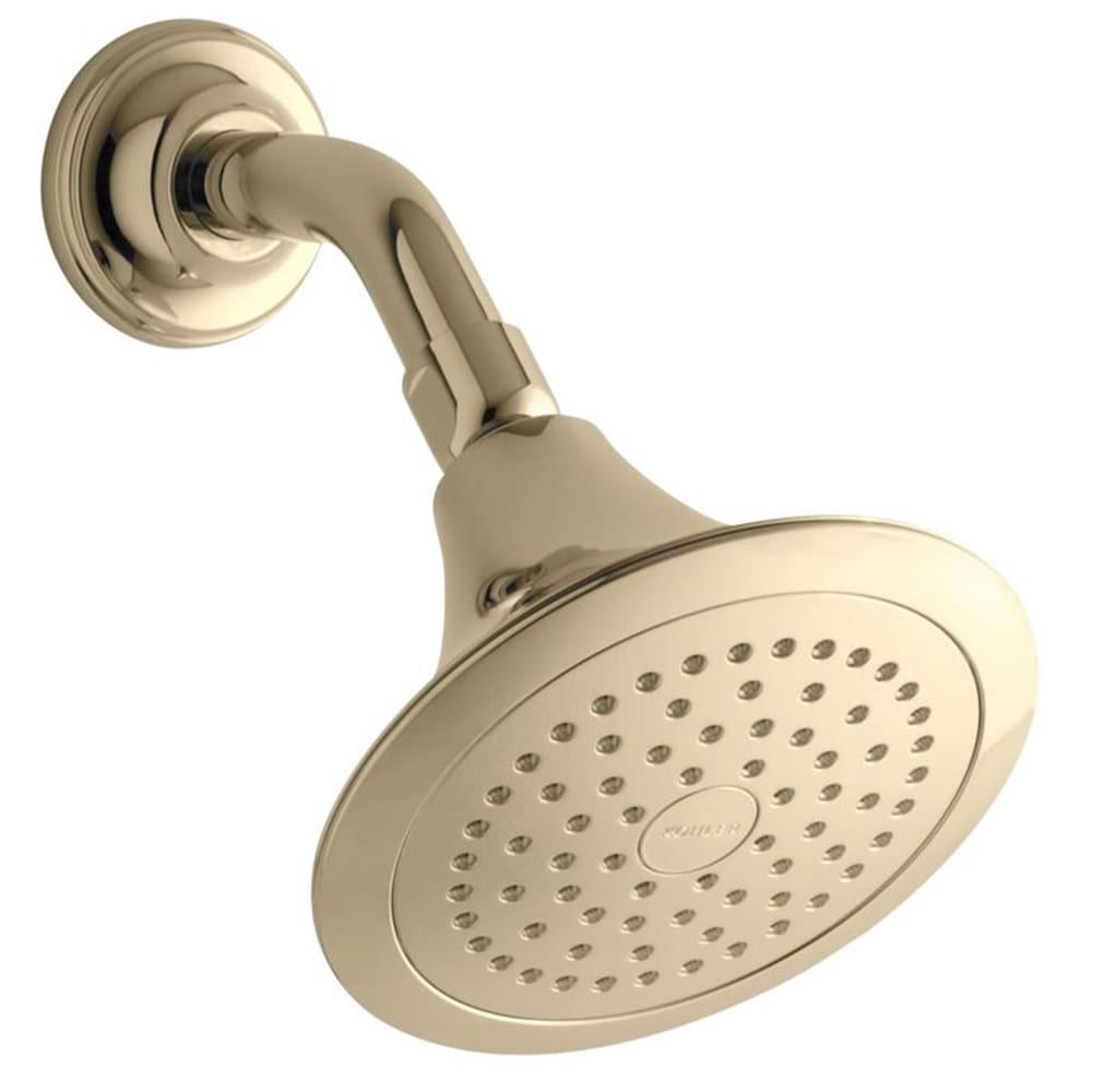 Forte® Wall-Mount Single-Function Showerhead with 66-Nozle 5.5 Inch Sprayface, 2.5 GPM