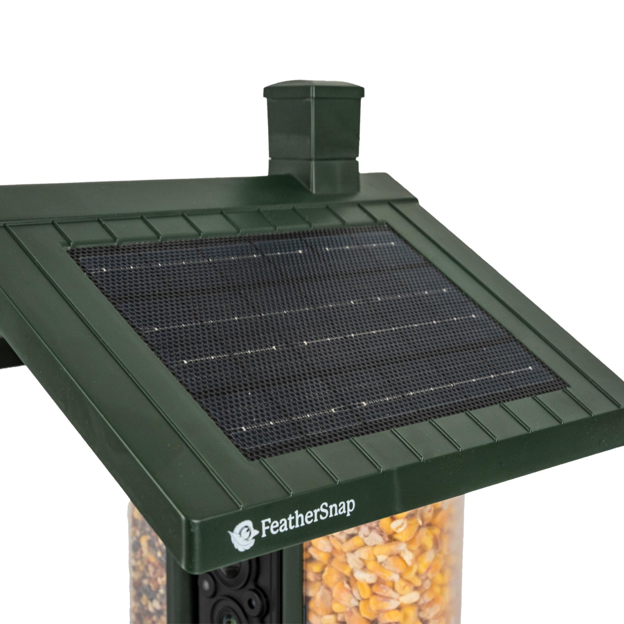 Feathersnap Scout WiFi Solar-Powered Smart Bird Feeder