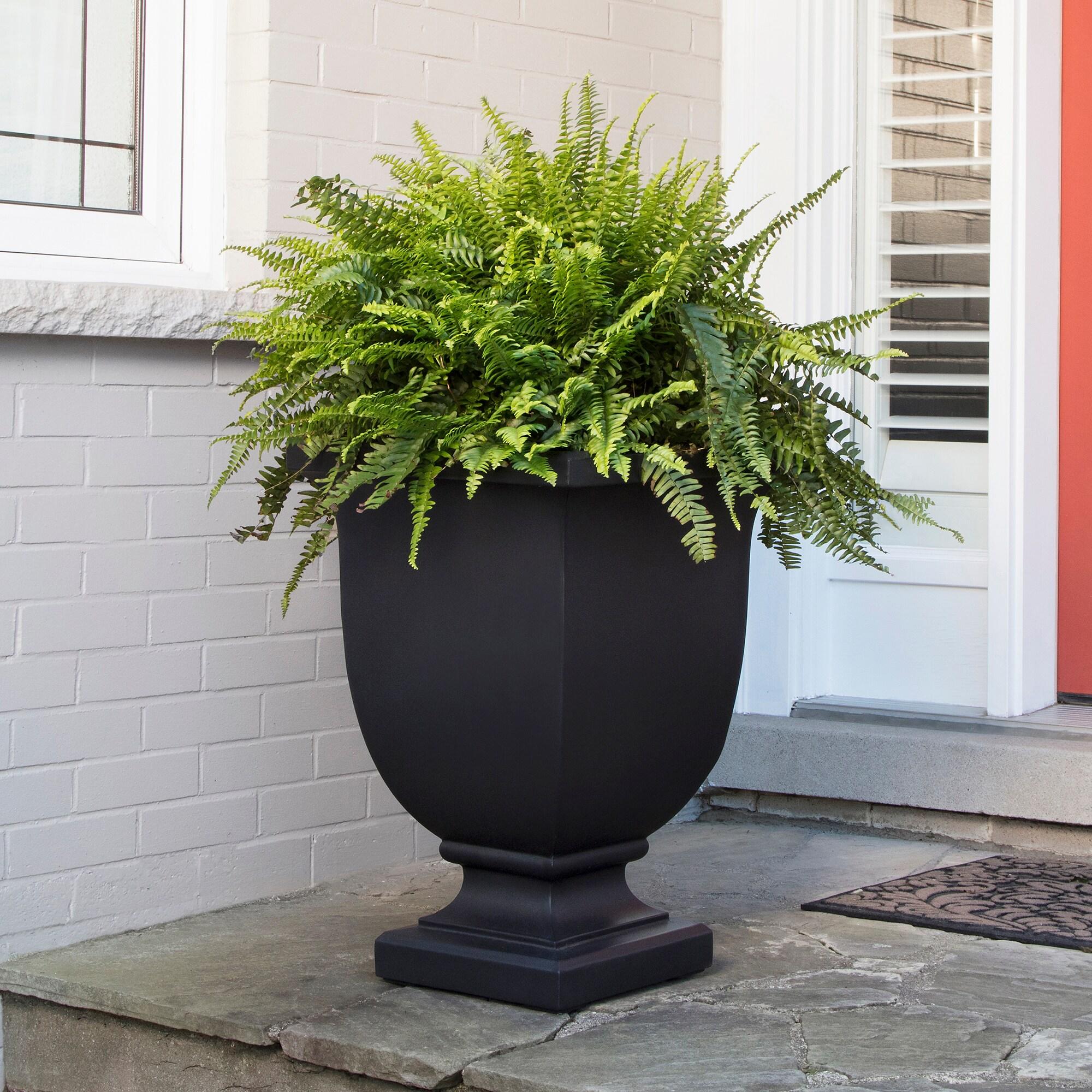 Red Barrel Studio® Arvia Self Water Resin Urn Planter
