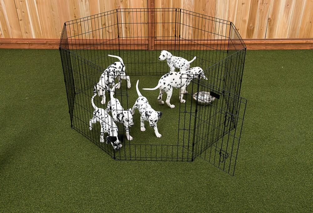 Foldable Metal Exercise Pet Play Pen for Dogs, Chickens, Rabbits and more