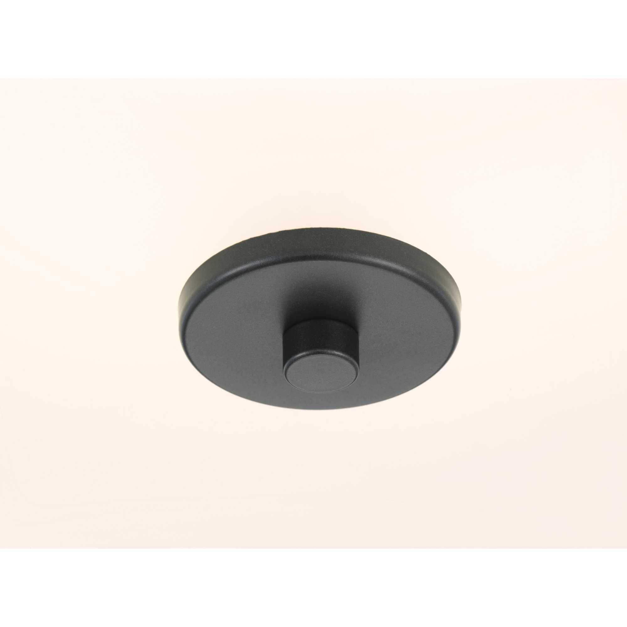 Progress Lighting Inspire Collection 2-Light Semi-Flush Fixture, Graphite Finish, Summer Linen Shade