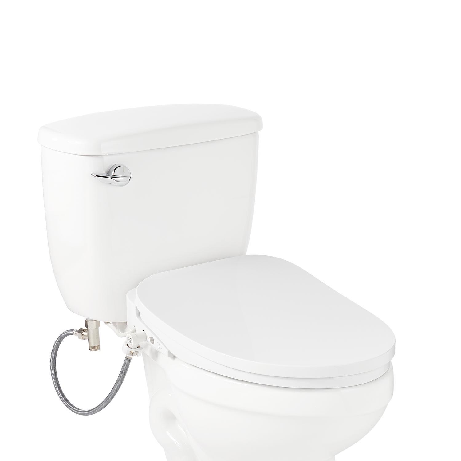 Aldridge Elongated Toilet Seat and Lid