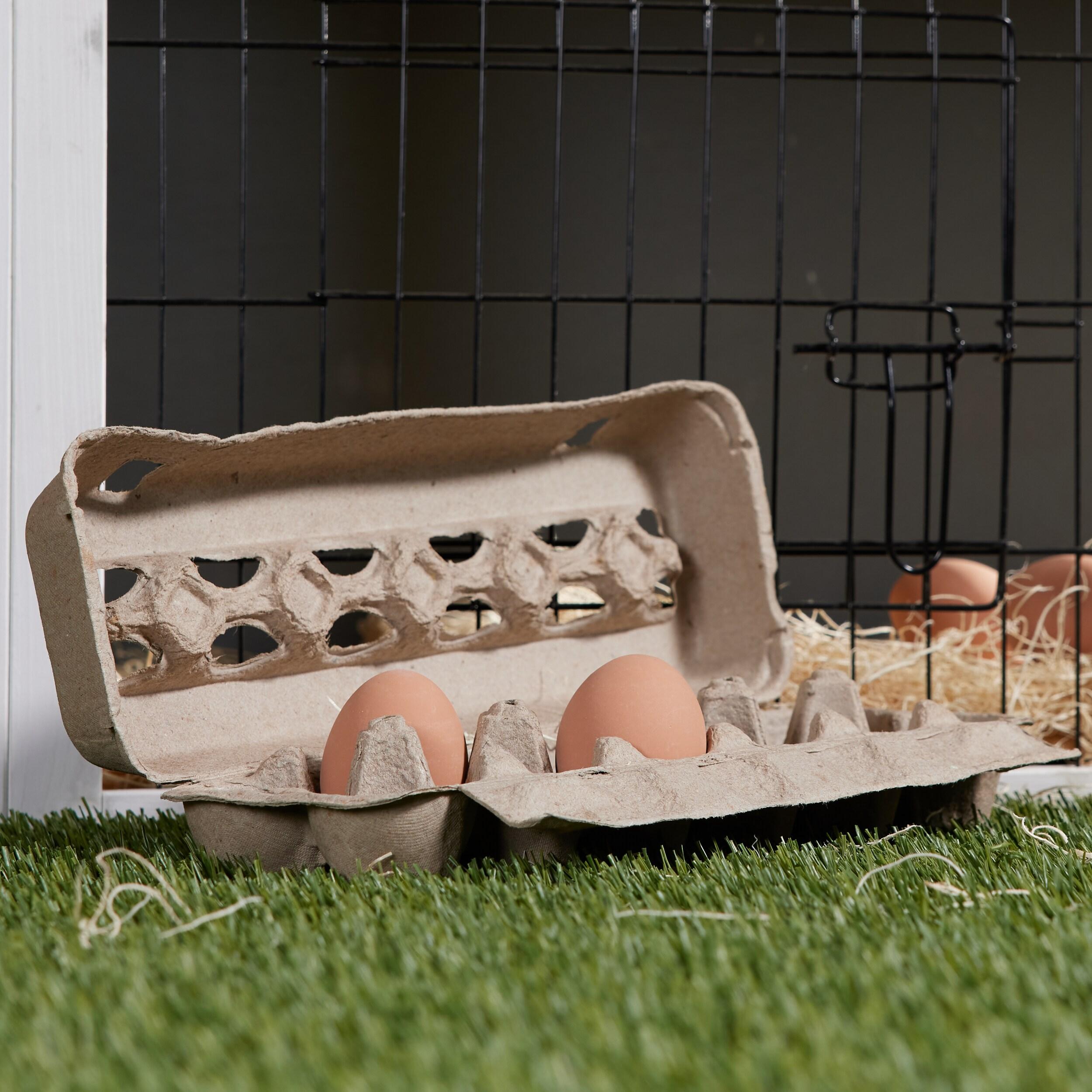 Pecking Order Cardboard Egg Carton 12-pack Dozen Cardboard Egg carton