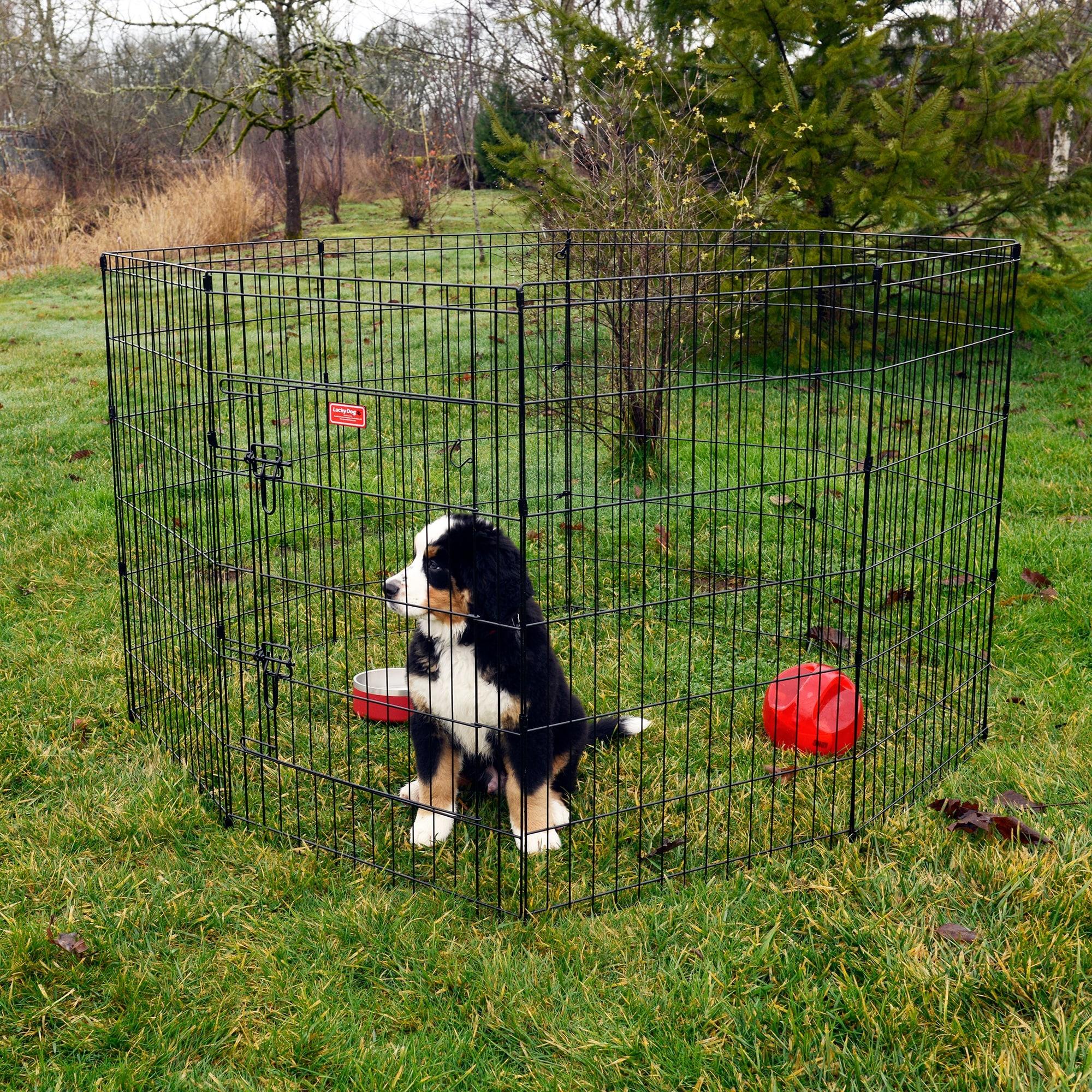 Lucky Dog Lucky Dog Exercise Pens