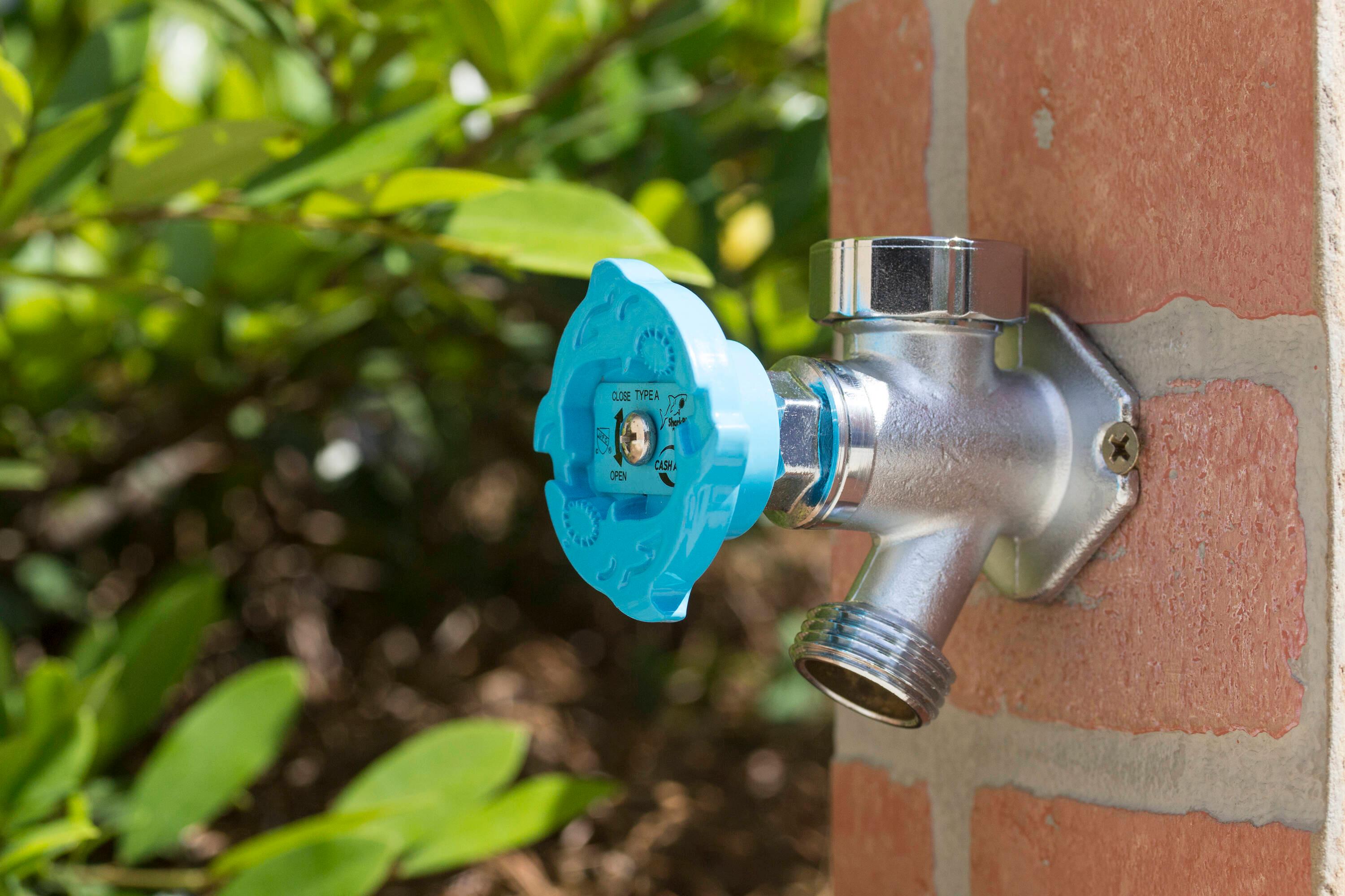 SharkBite 1/2 in. X 10 in. Push-to-Connect X MHT Brass Anti-Siphon Frost Free Sillcock Valve NOB