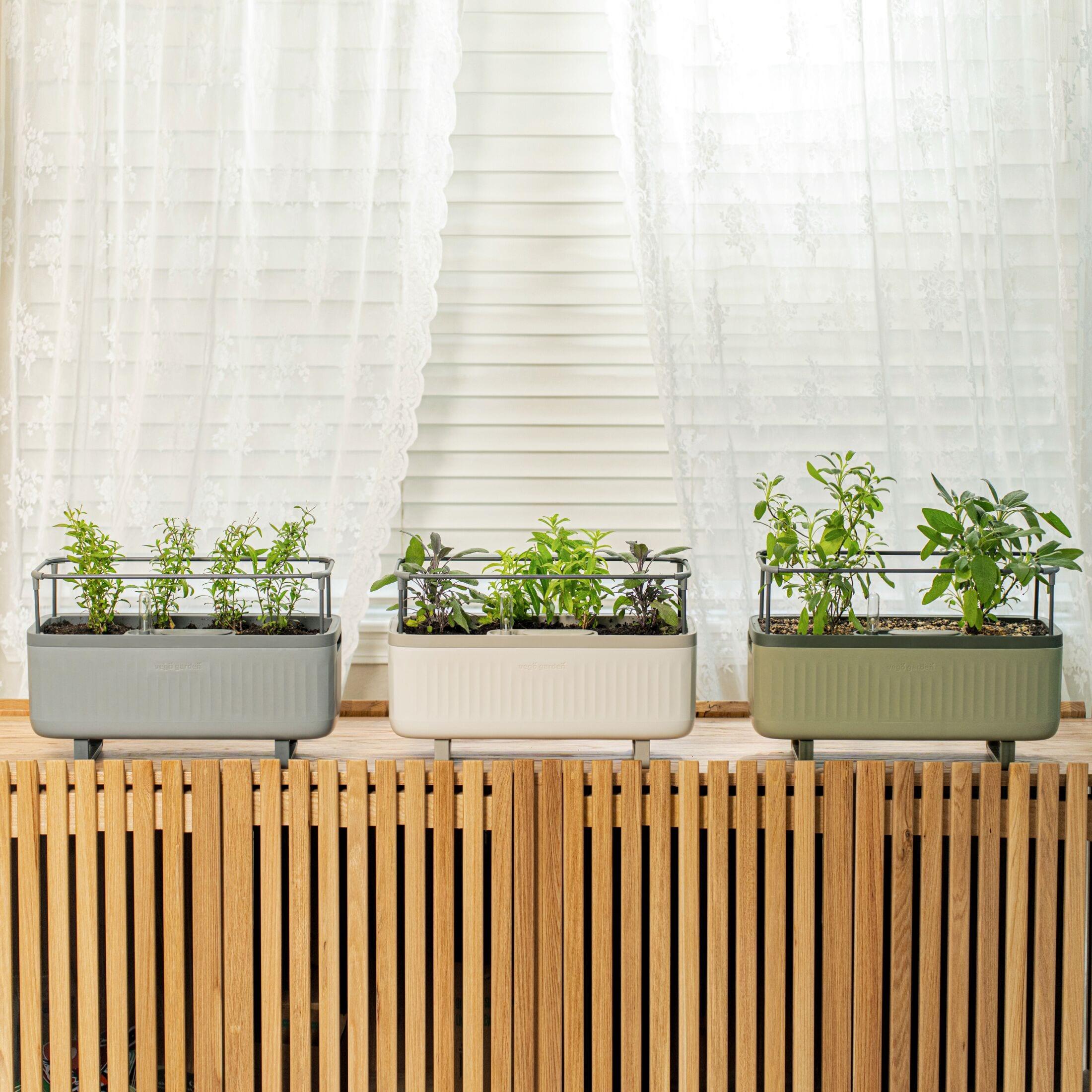 Vego Garden Mini Herb Plastic Outdoor Pot Planter with Trellis