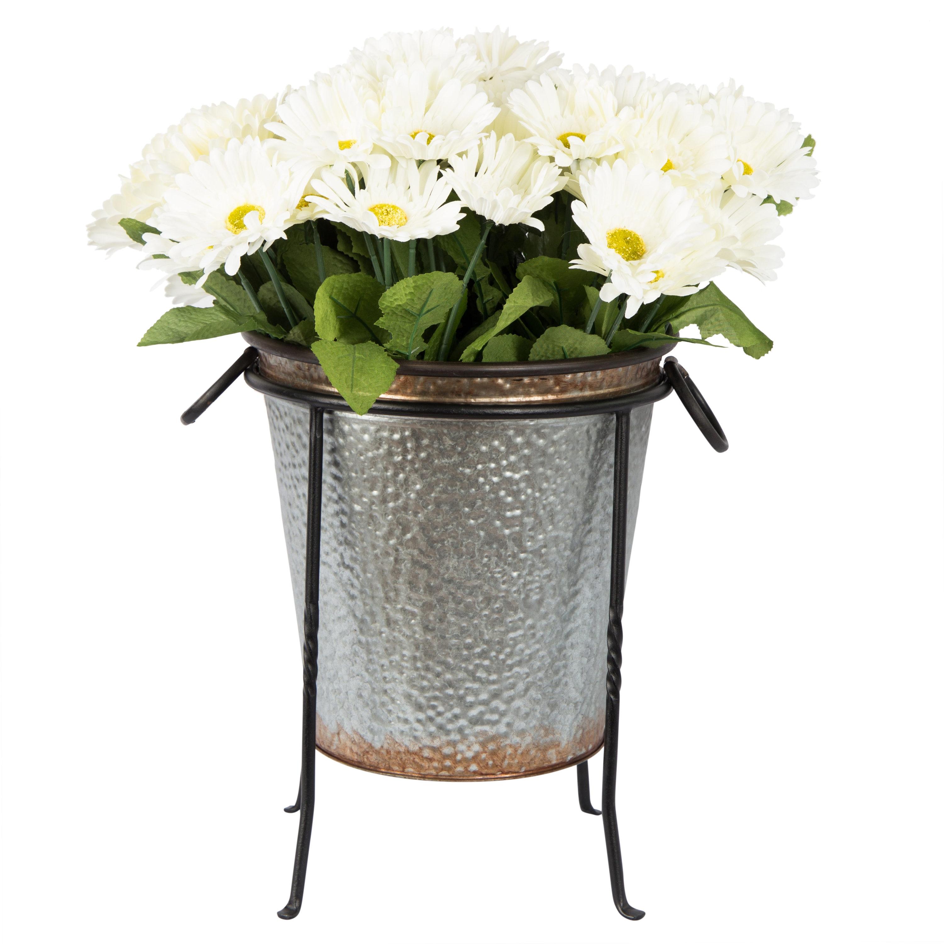 Winston Porter Drumnasole Iron Pedestal Birdbath