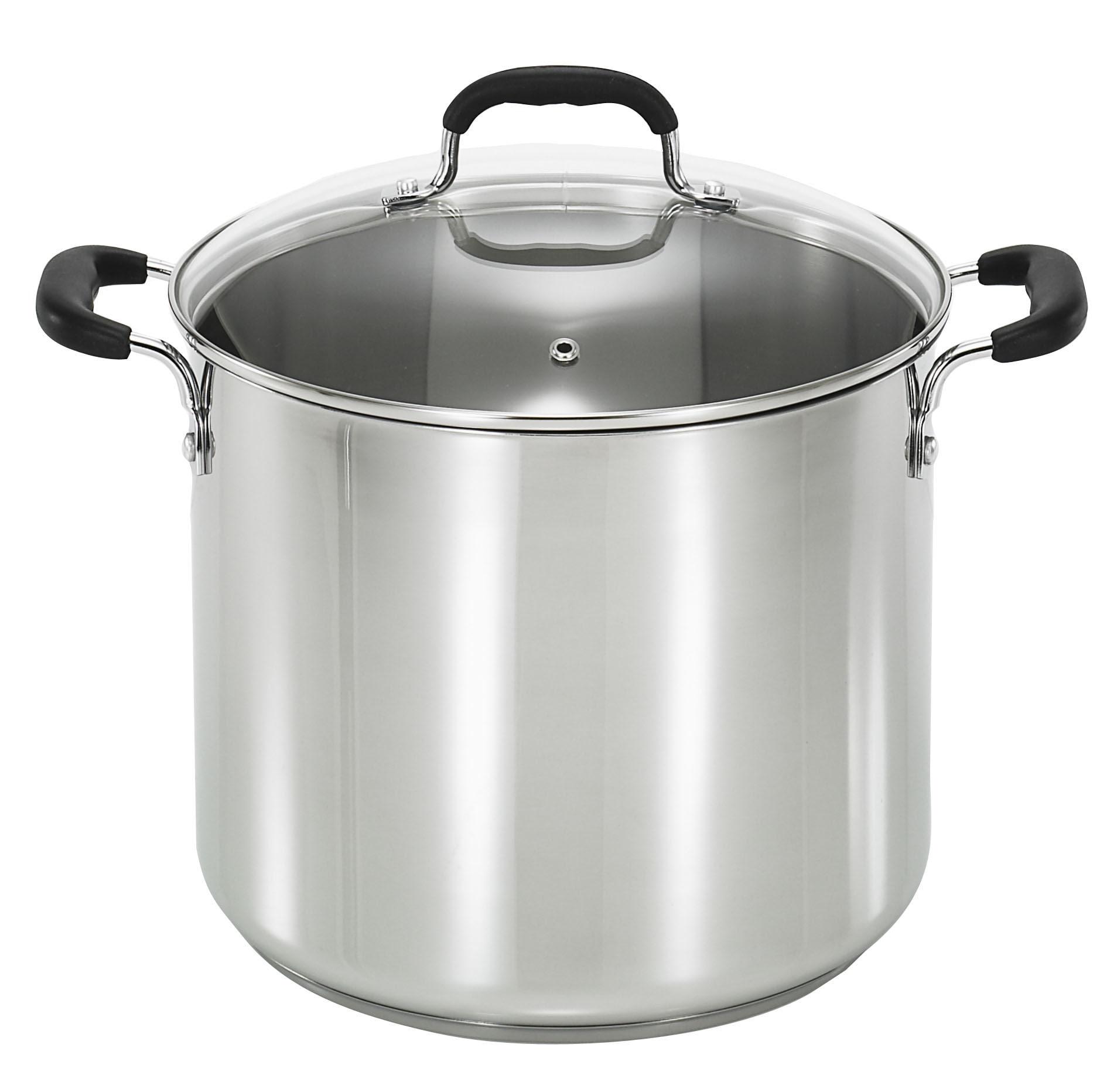 T-fal Stainless Steel 12 qt. Stockpot with lid & Reviews | Wayfair