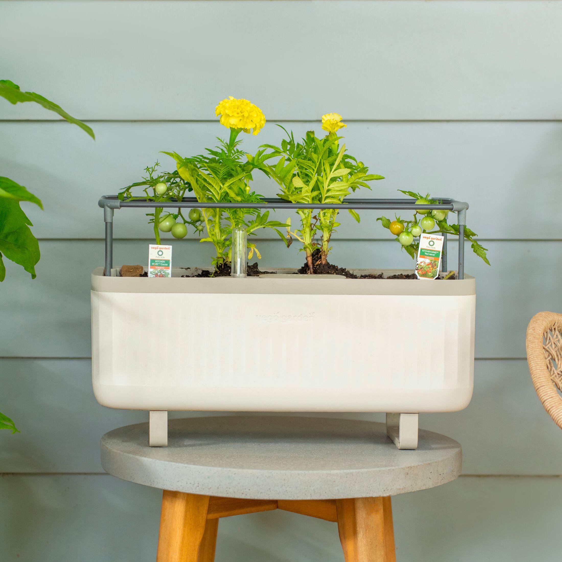 Vego Garden Mini Herb Plastic Outdoor Pot Planter with Trellis
