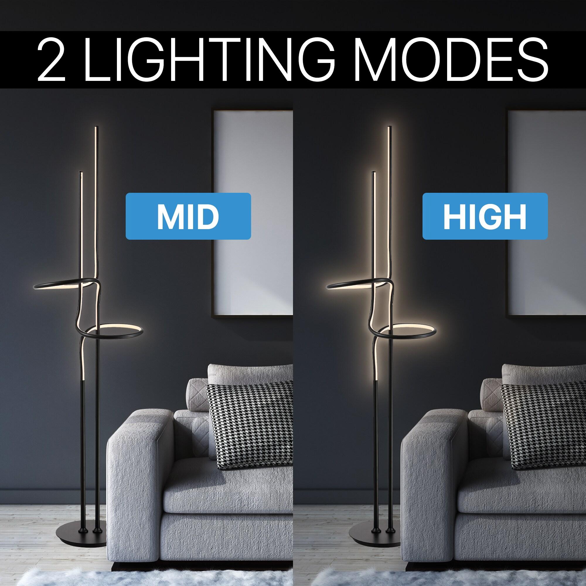 Pittner 64'' LED Novelty Floor Lamp