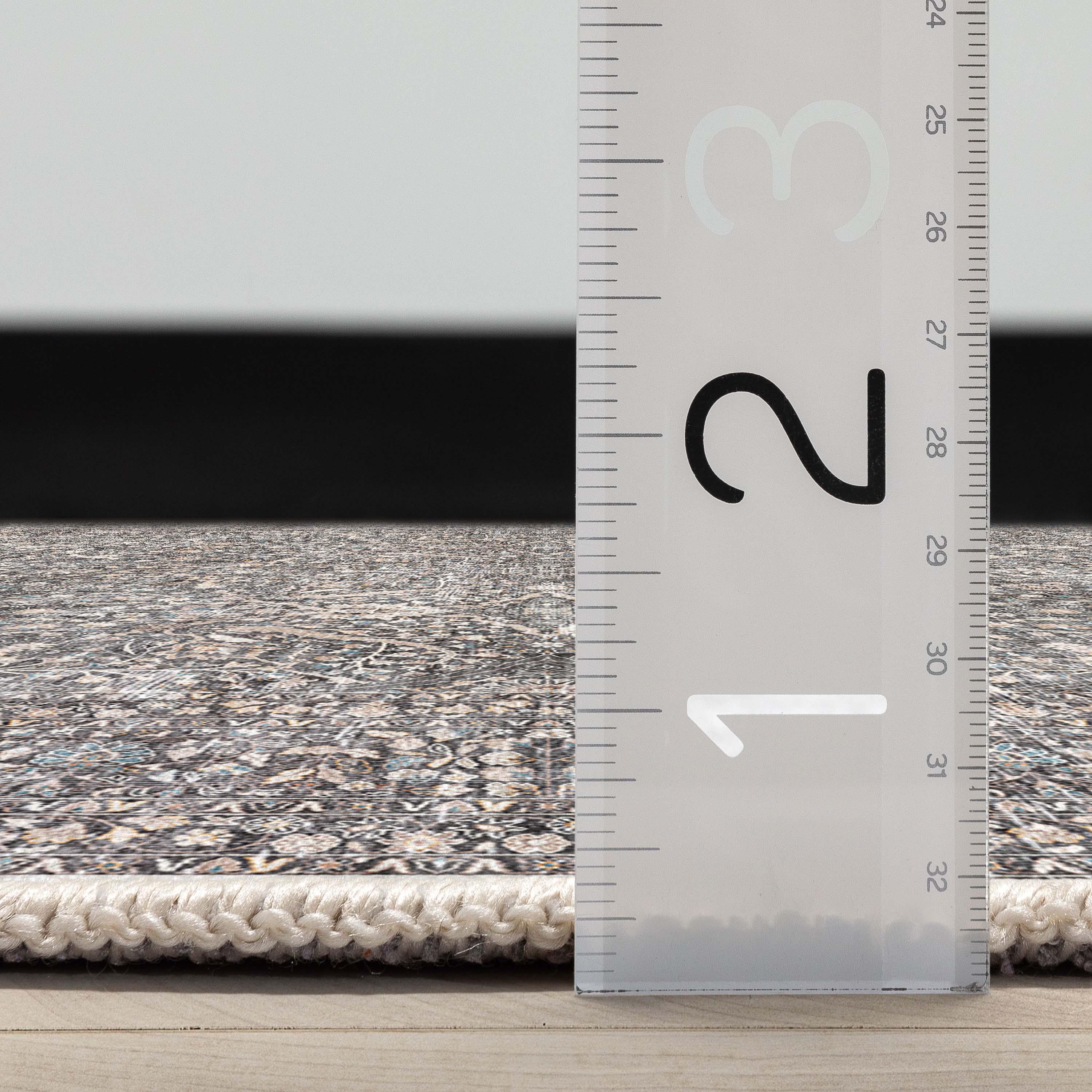 Ervin Isolde Vintage Oriental Botanical Gray Area Rug