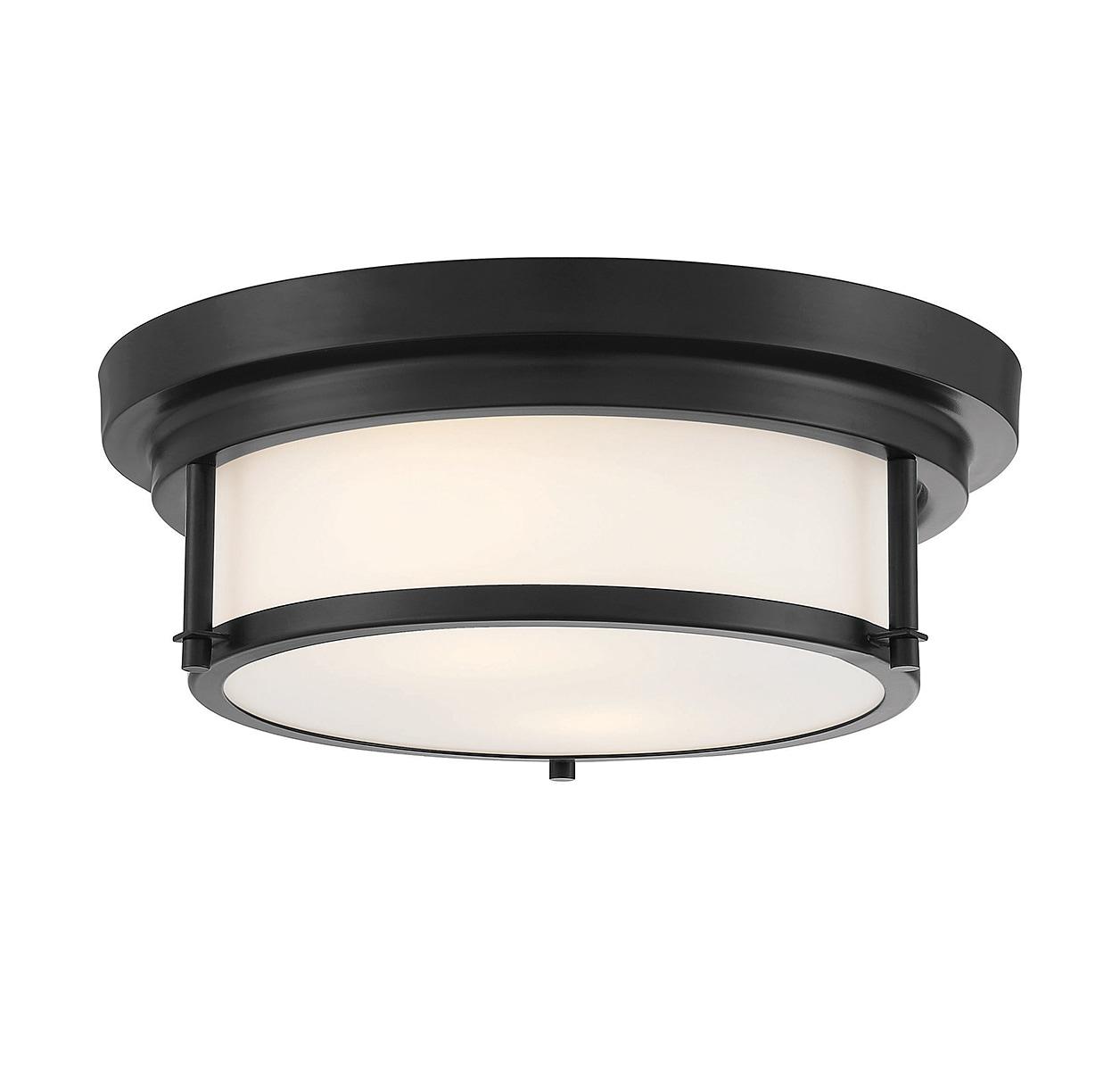 Trade Winds Lighting 2-Light Ceiling Light In Matte Black