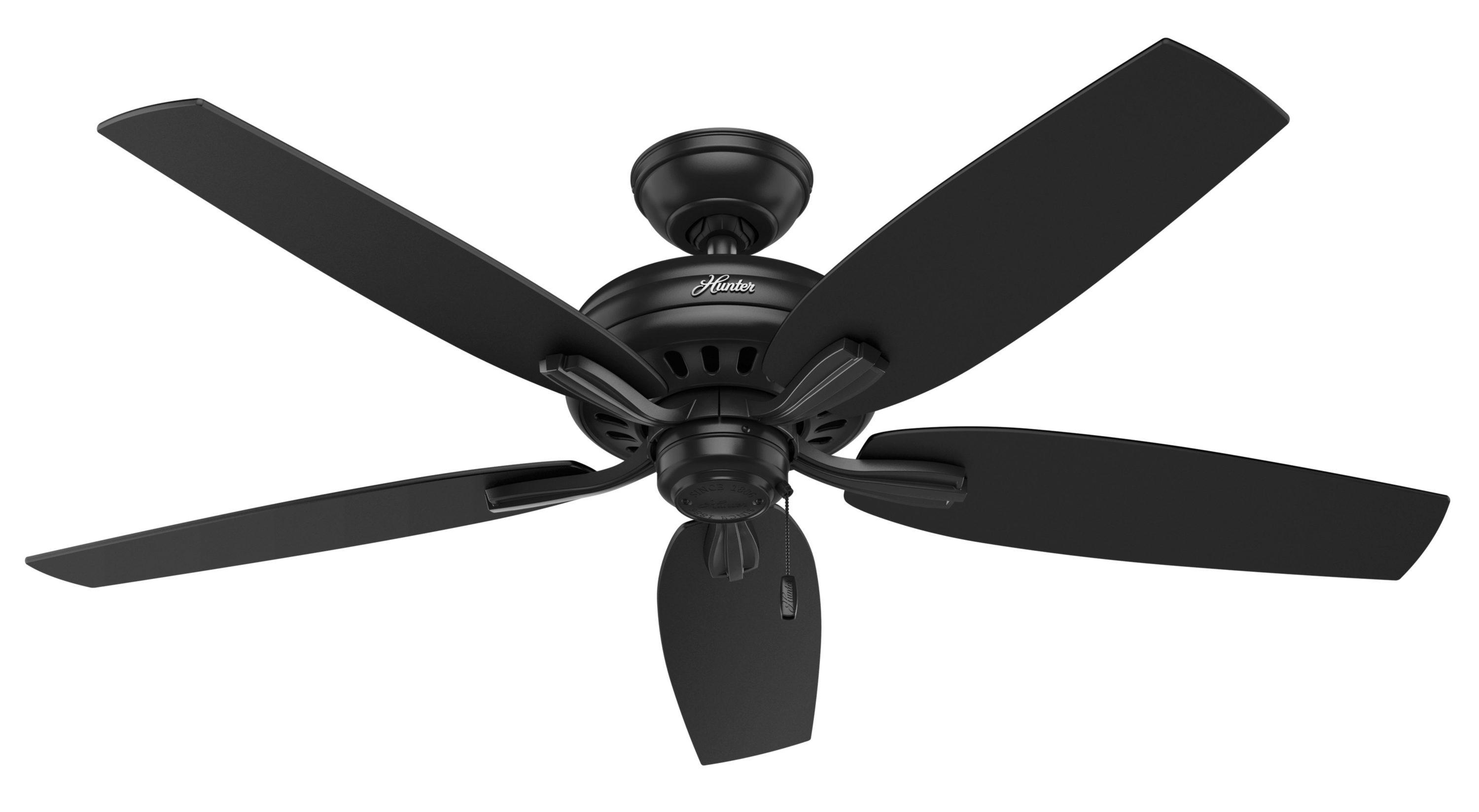 52" Newsome 5 - Blade Outdoor Standard Ceiling Fan with Pull Chain