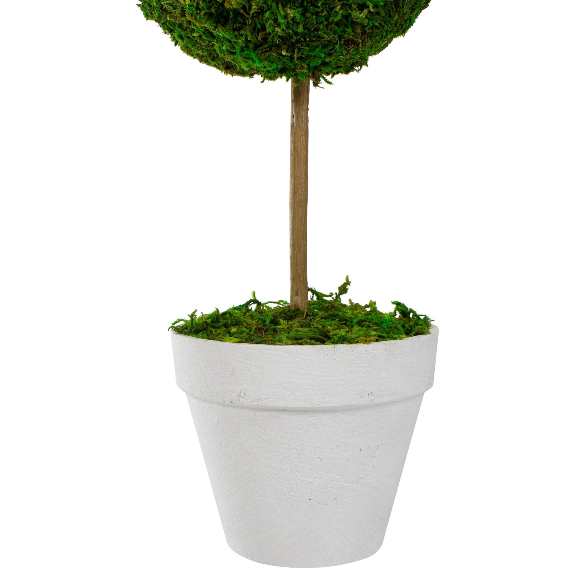 Northlight Seasonal Green Reindeer Moss Ball Potted Artificial Spring Topiary Tree