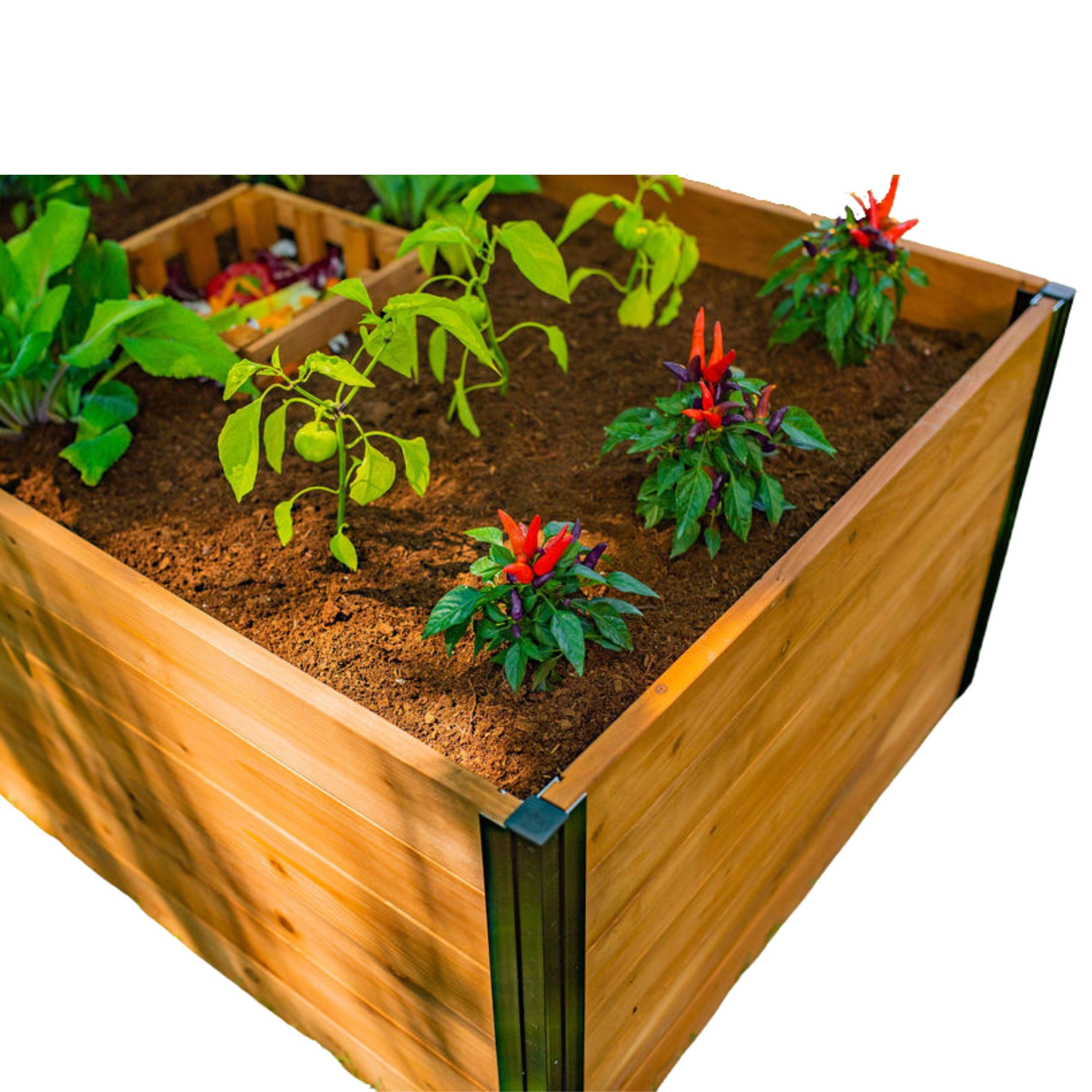 Vita Mezza 3' L x 5' W Cedar Keyhole Composting Garden, Golden Brown, VT17702