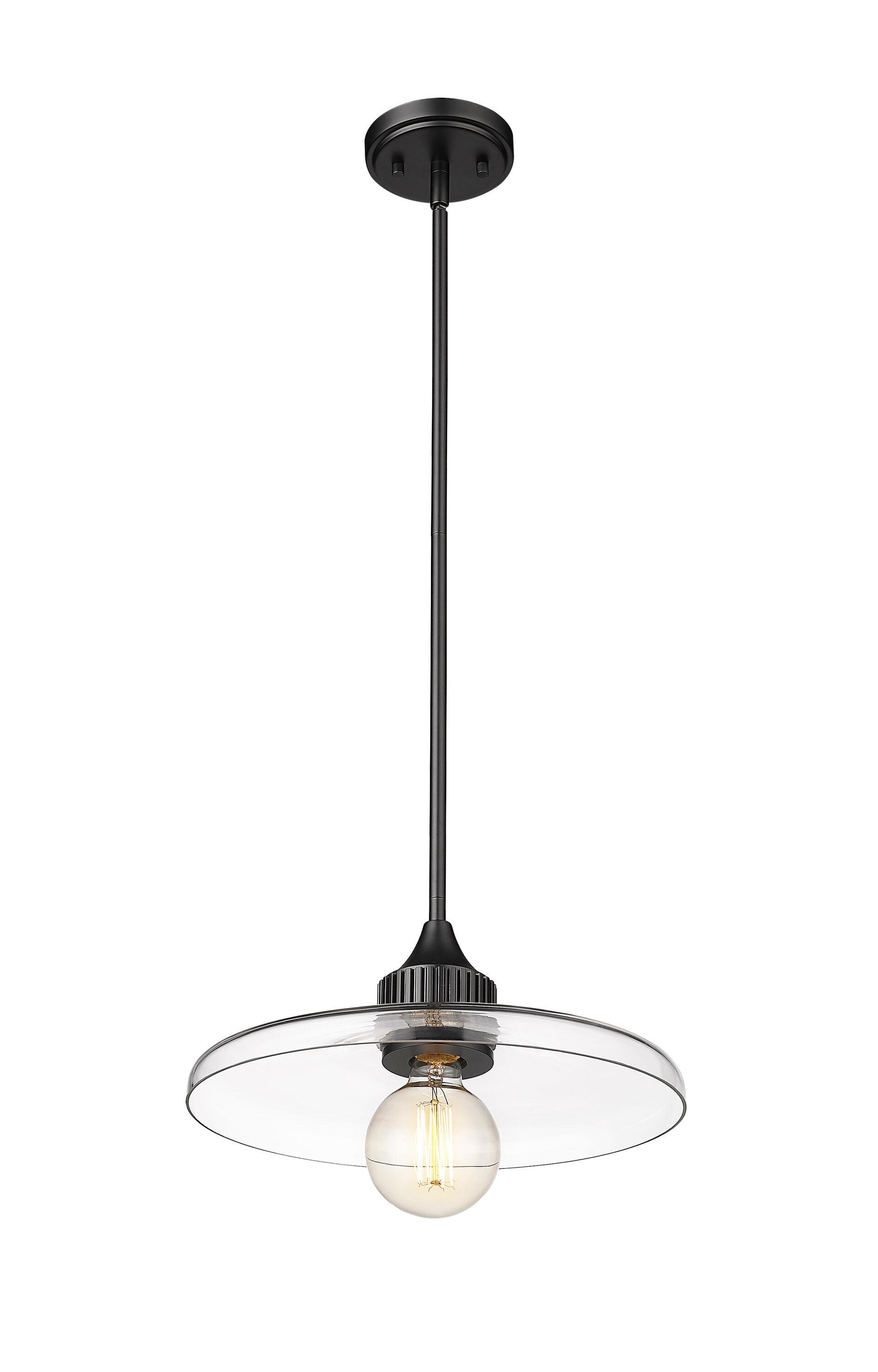 Z-Lite Paloma 1 - Light Pendant in  Matte Black