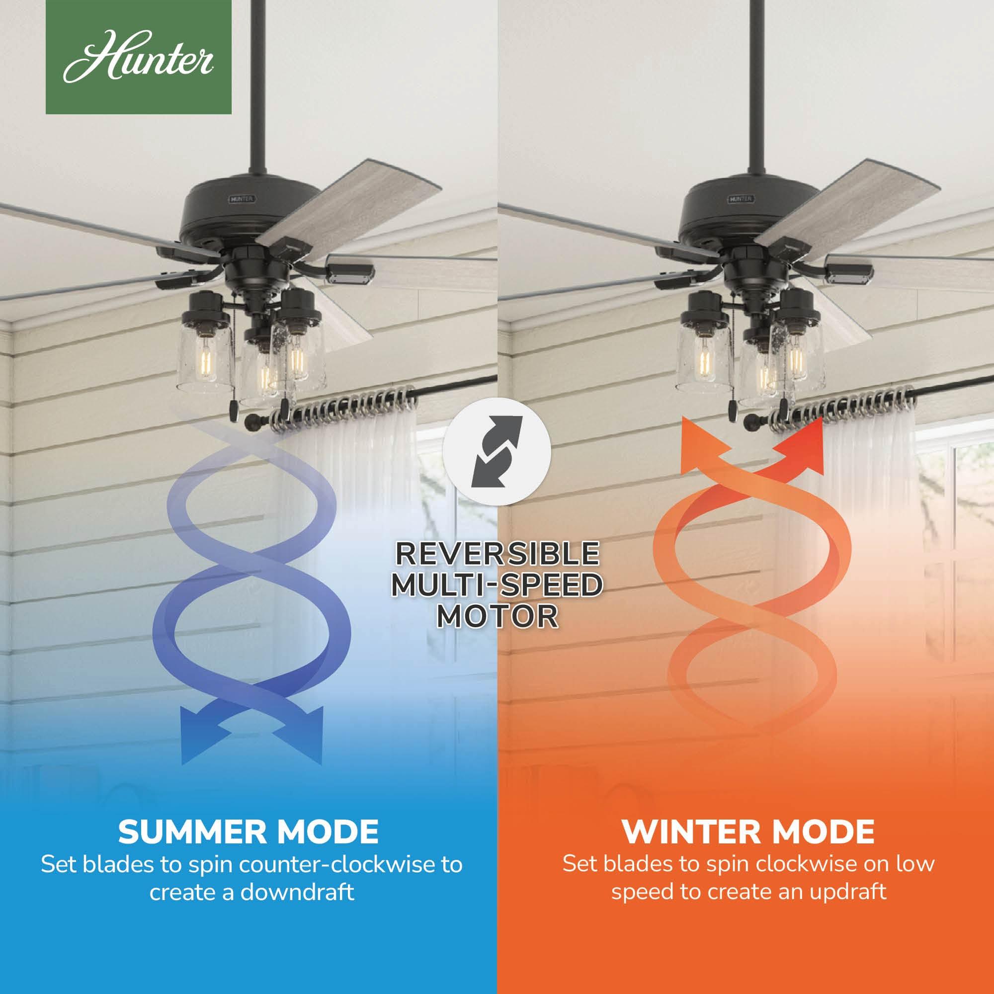 52" Hartland 5 - Blade Standard Ceiling Fan with Pull Chain and Light Kit Included
