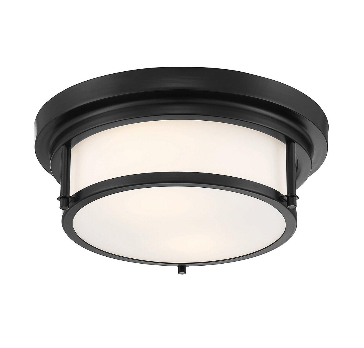 Trade Winds Lighting 2-Light Ceiling Light In Matte Black