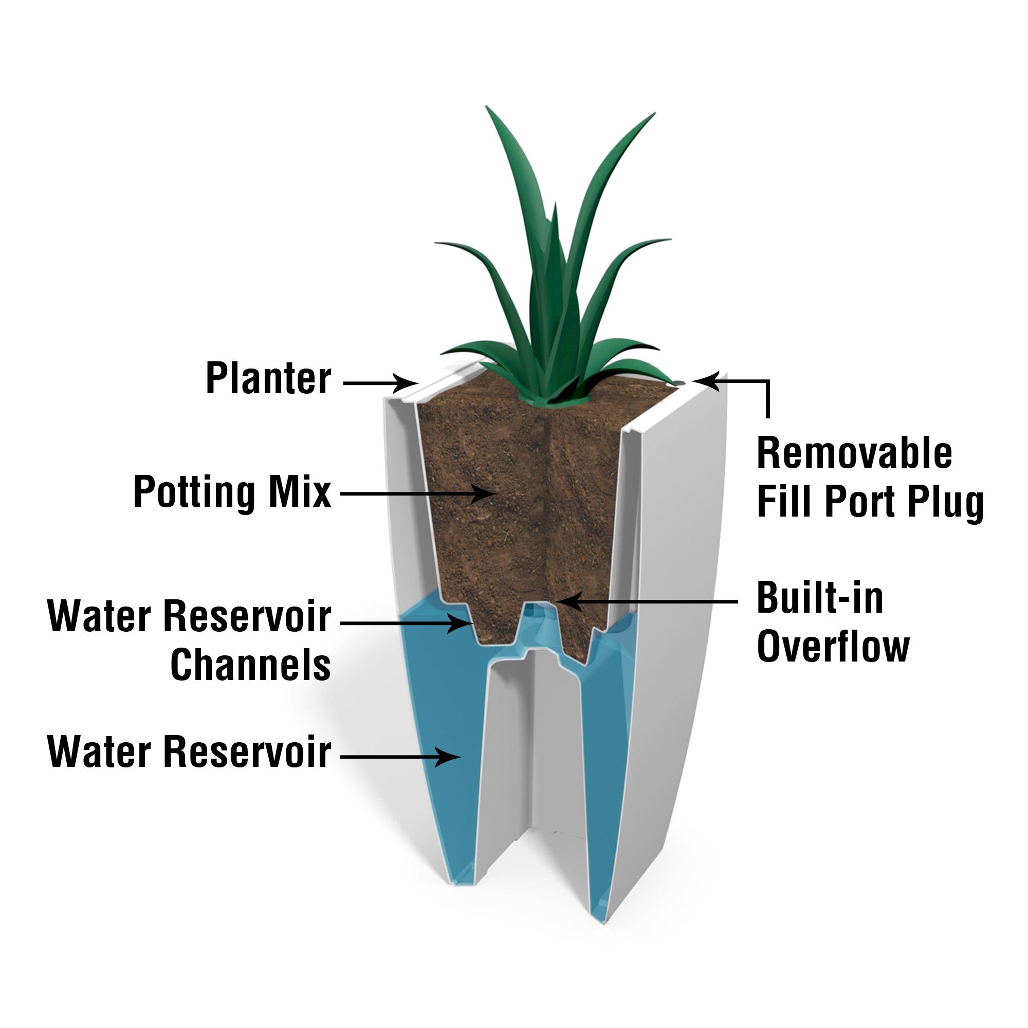 Mayne Inc. Vernamae  Resin Pot Planter With Water Reservoir