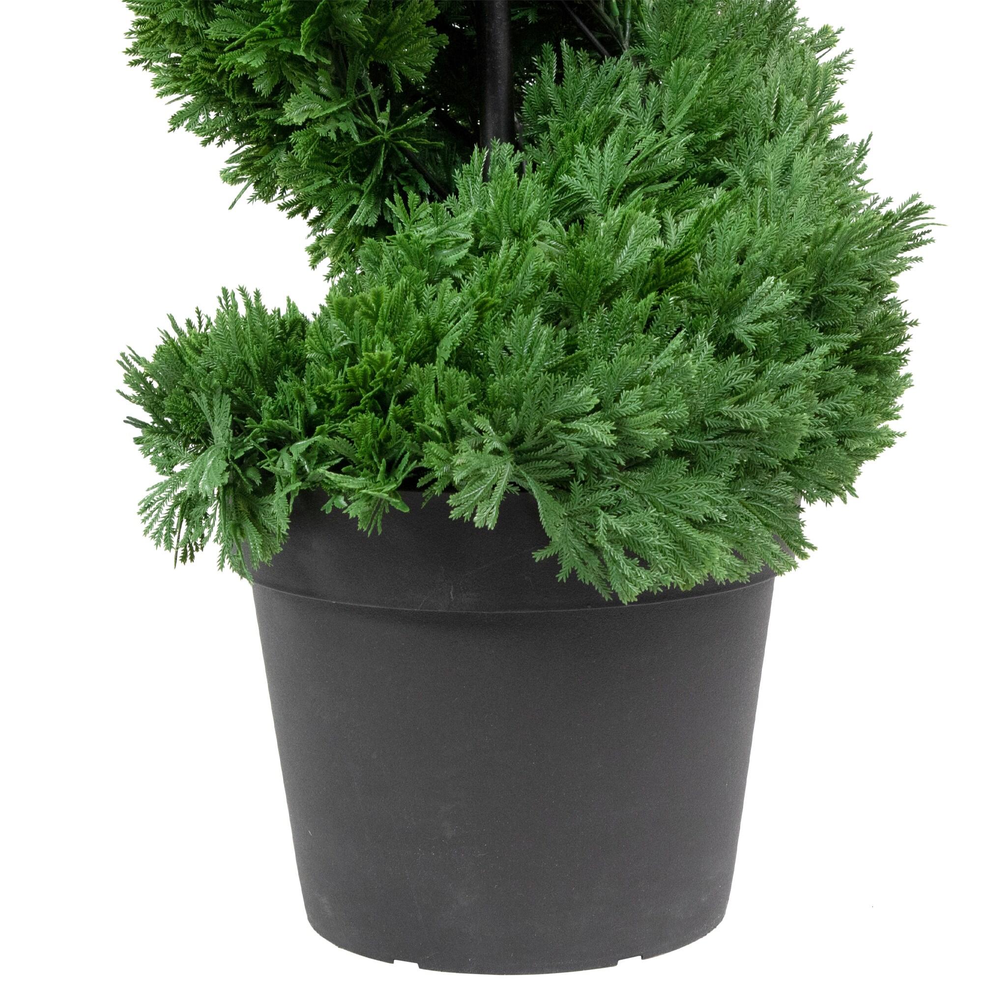 Northlight Real Touch™ Artificial Cedar Spiral Topiary Tree in Black Pot, Unlit - 5'