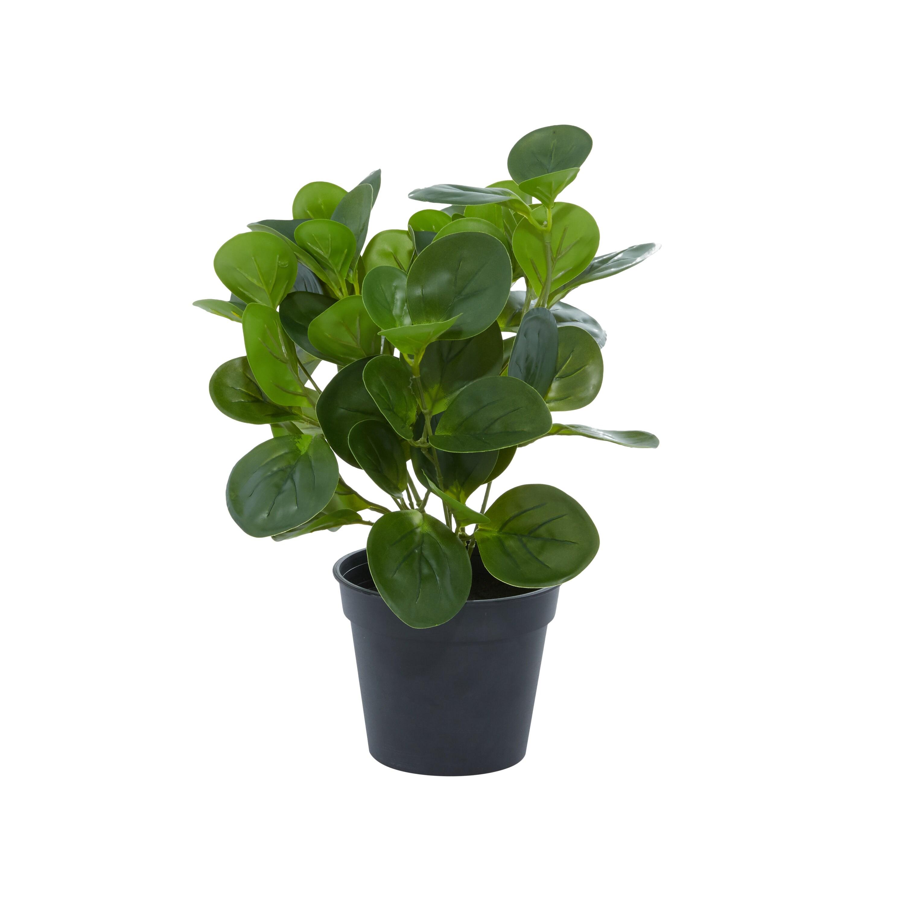 DecMode 13" Indoor Outdoor Artificial Eucalyptus Plant in Realistic Leaves and Black Round Pot