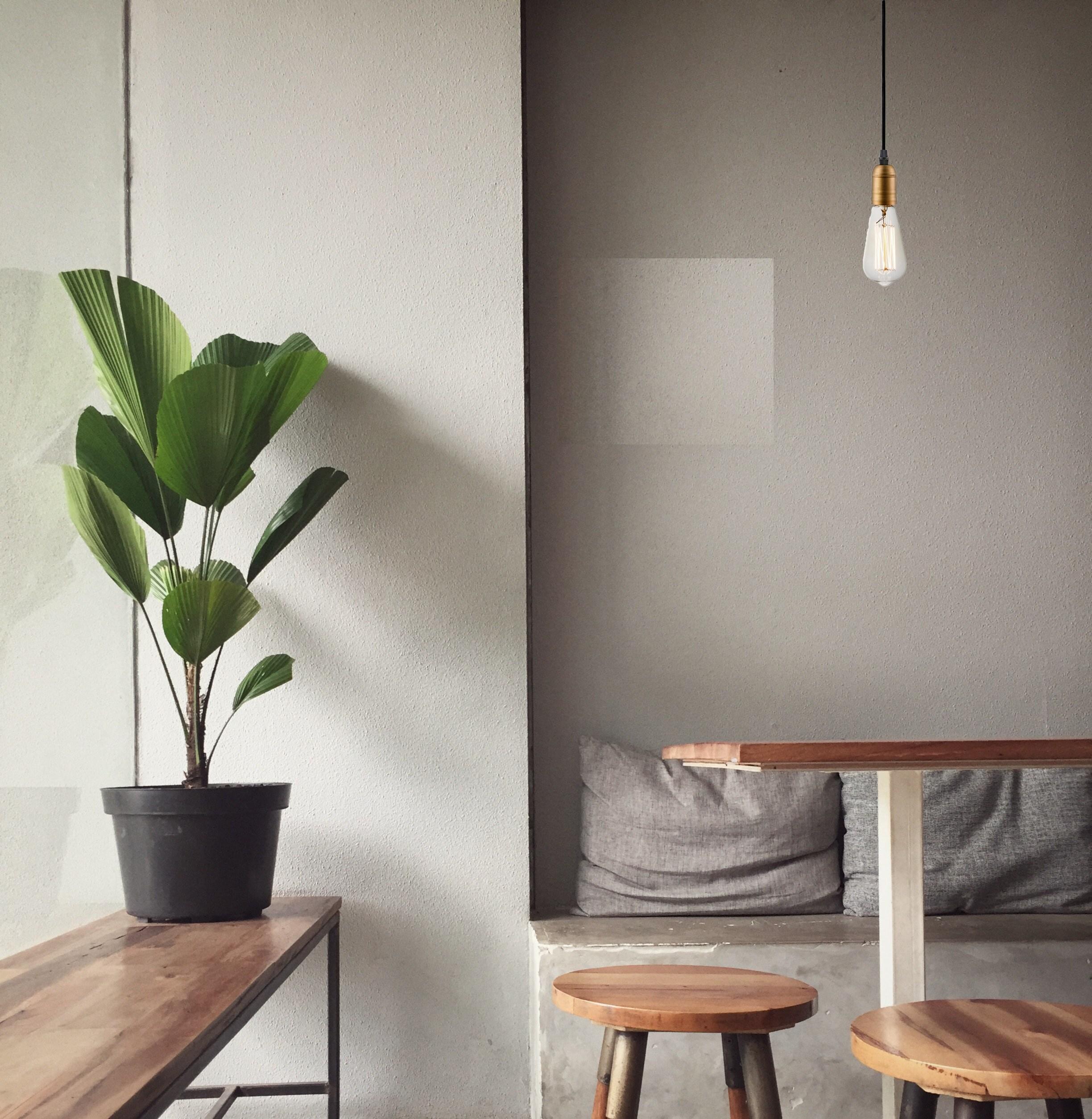 Maxim Lighting Early Electric 1 - Light Pendant in  Black/Antique Brass