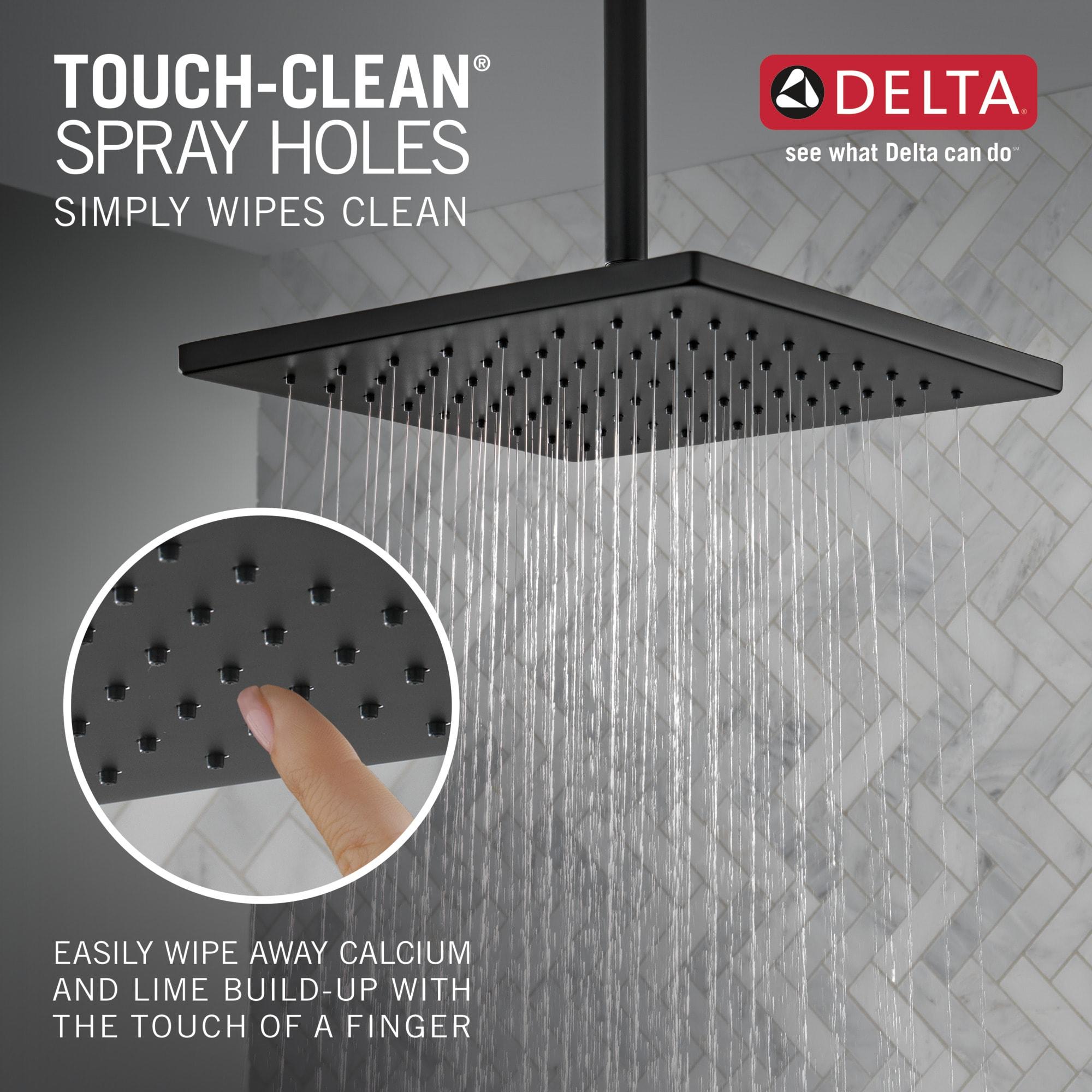 Delta Rain Adjustable Shower Head