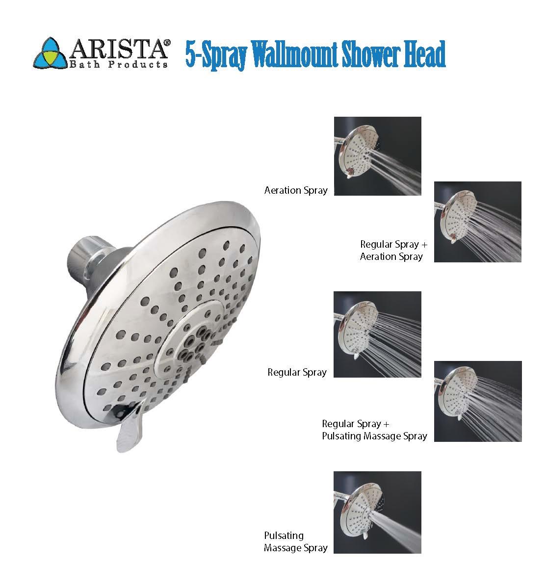 Fixed Shower Head 2.0 GPM GPM with Water Filtration