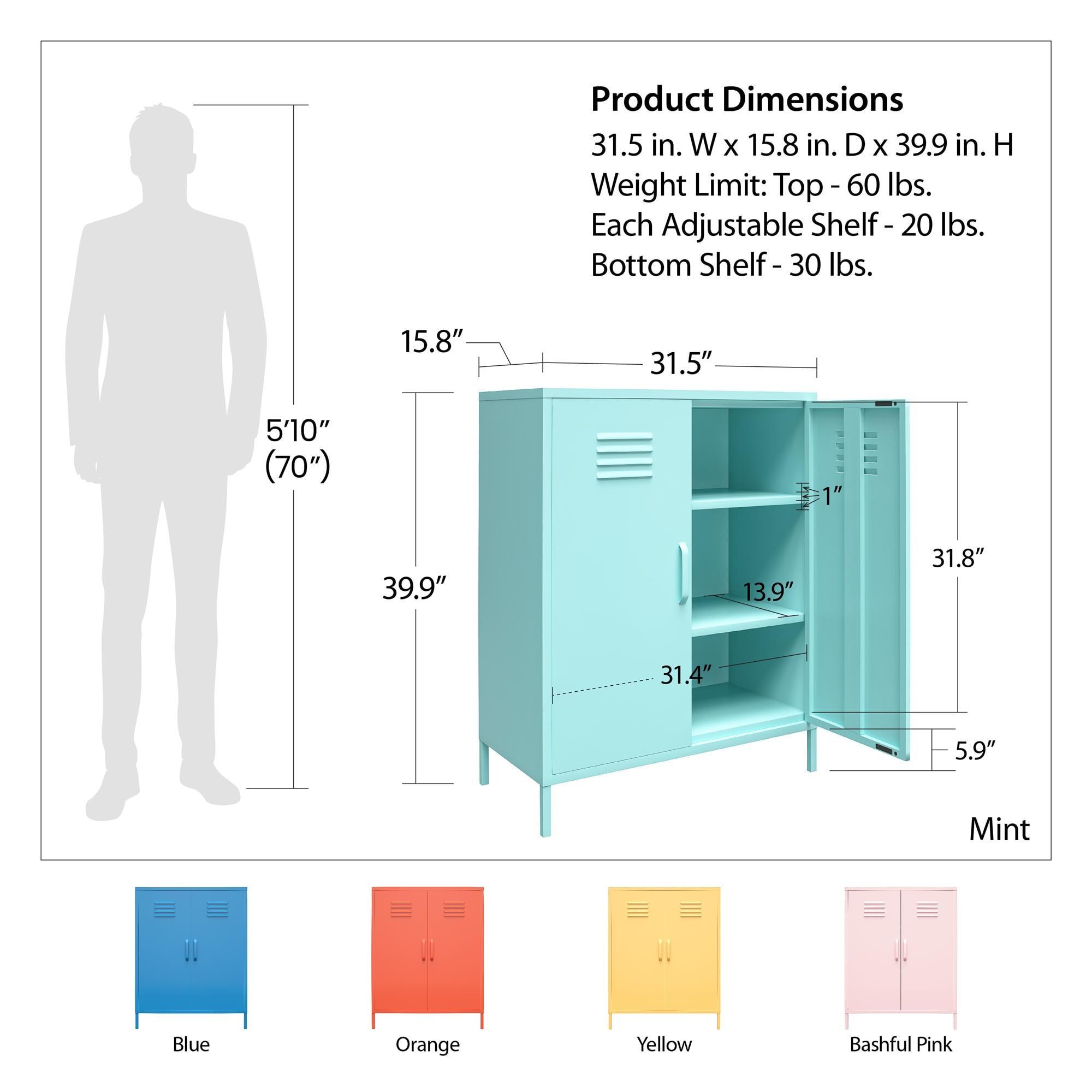 Cache 2 - Door Metal Accent Cabinet